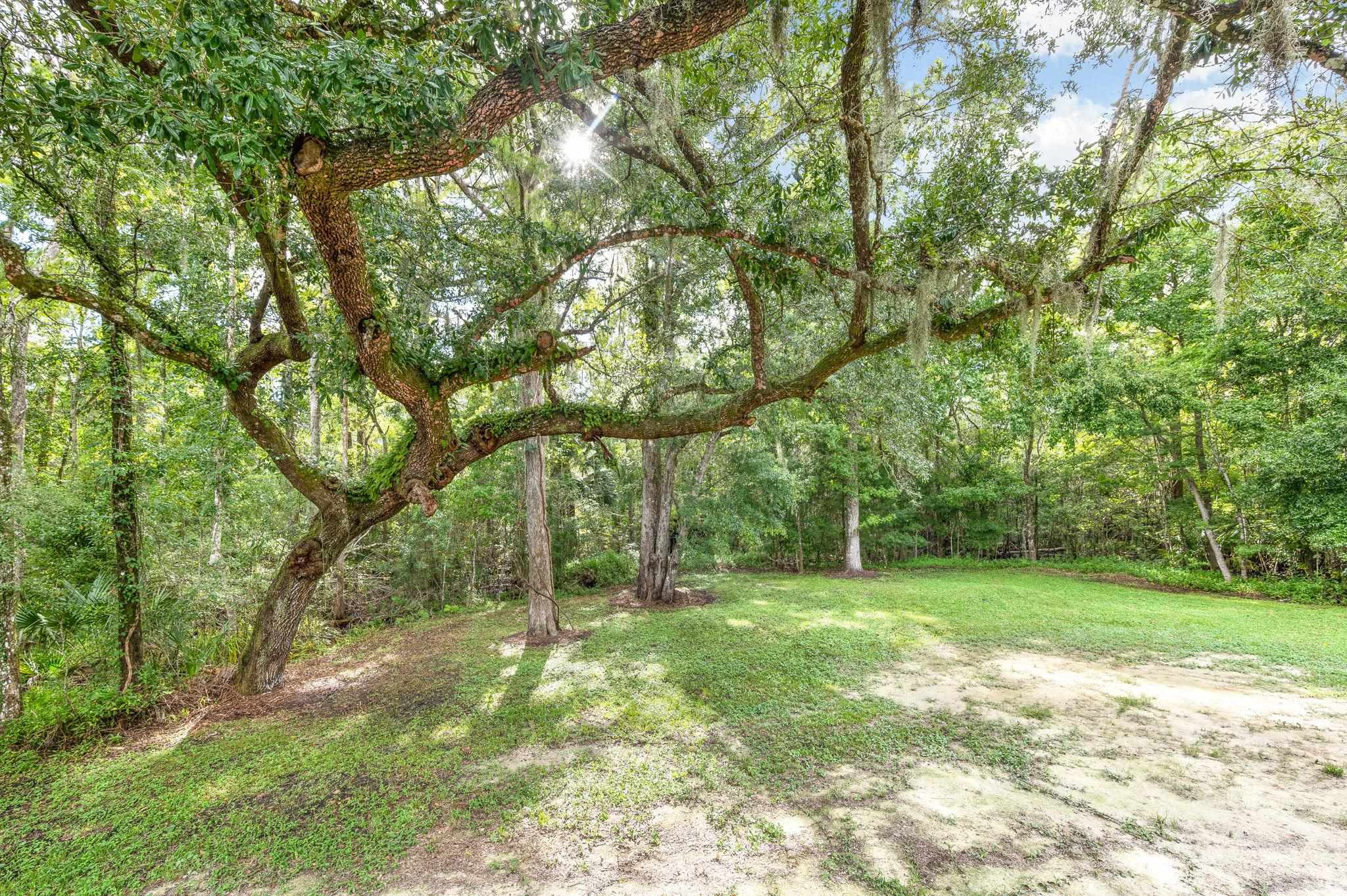 Image 45 of 48 For 2451 Deer Run Rd