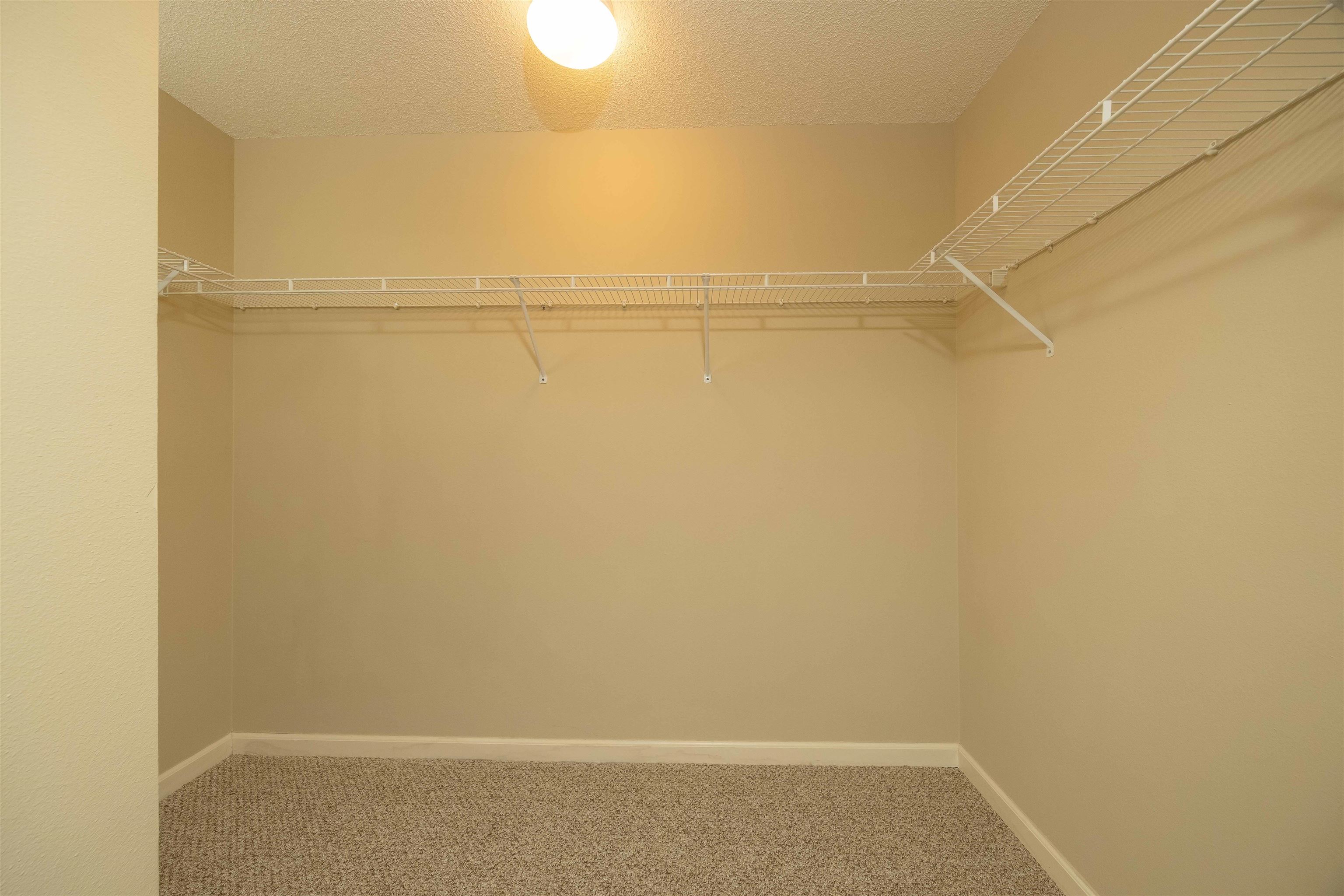 Image 32 of 90 For 202 Augusta Cir