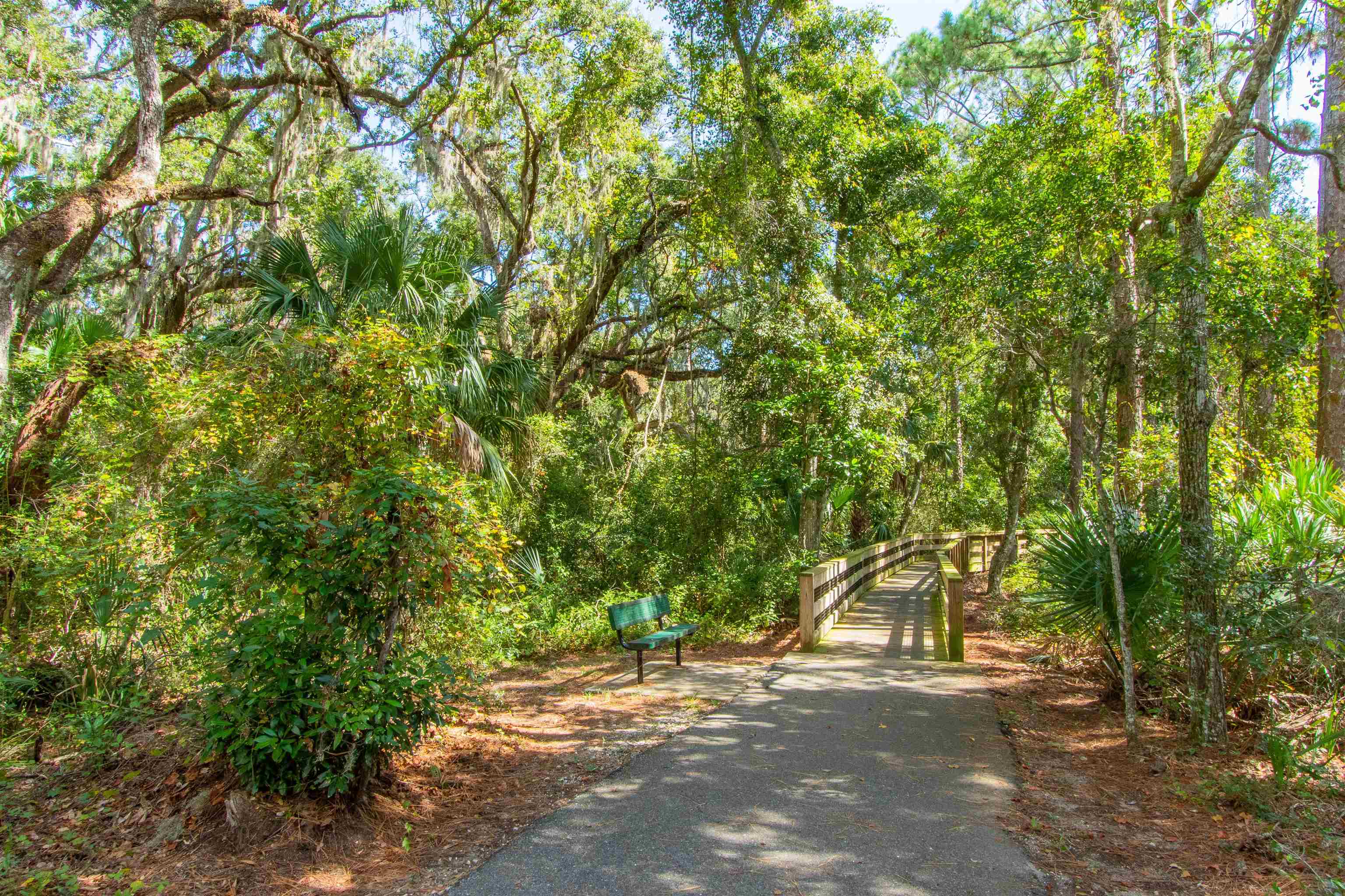 Image 76 of 90 For 202 Augusta Cir