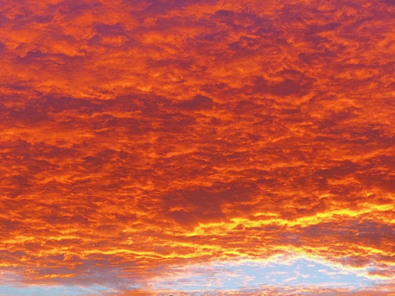 Image 36 of 41 For 5850 Cypress Estates Drive