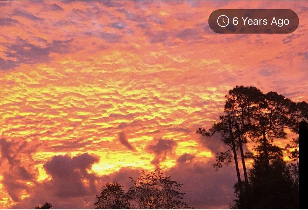 Image 37 of 41 For 5850 Cypress Estates Drive