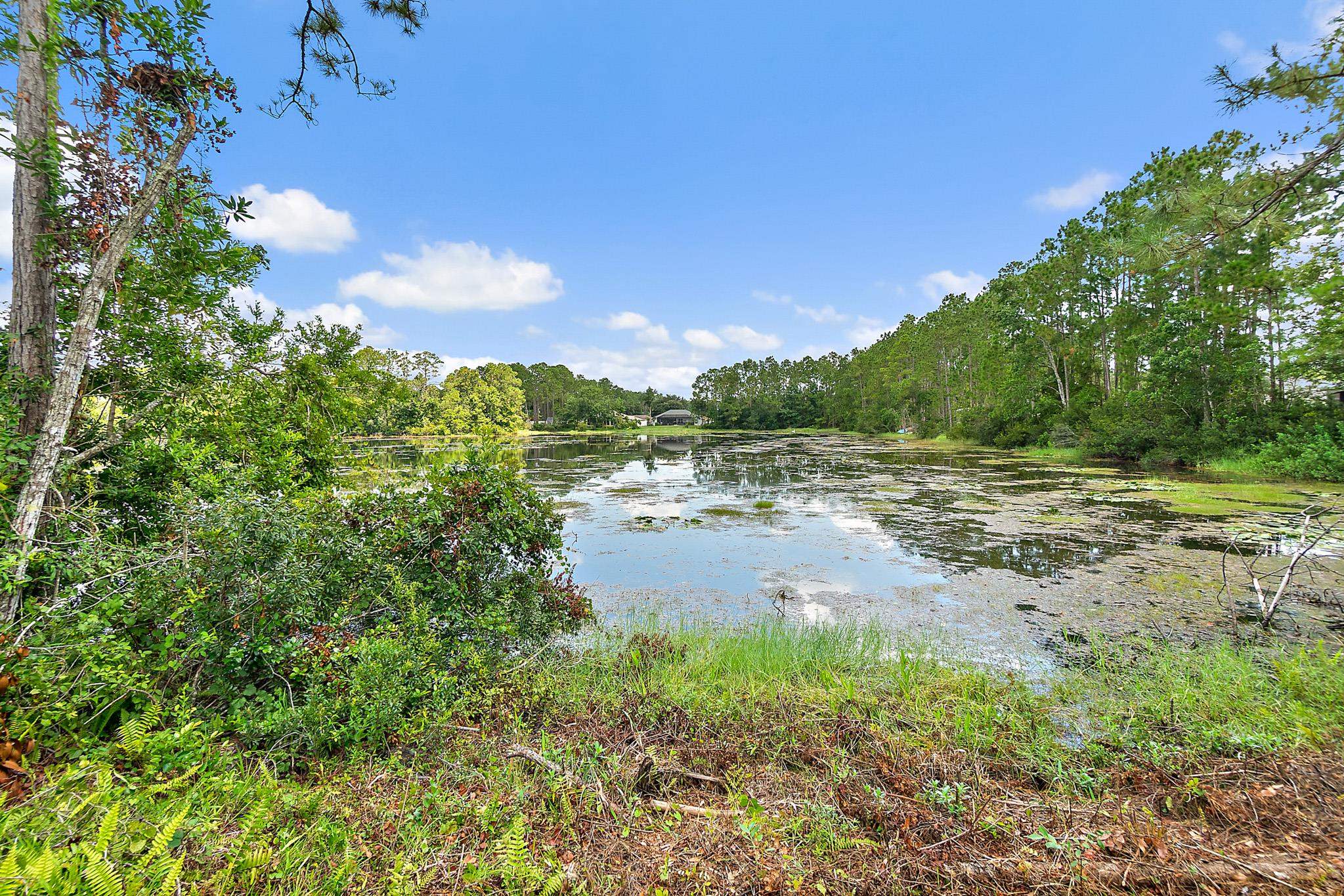 Image 55 of 66 For 47 Kathleen Trl