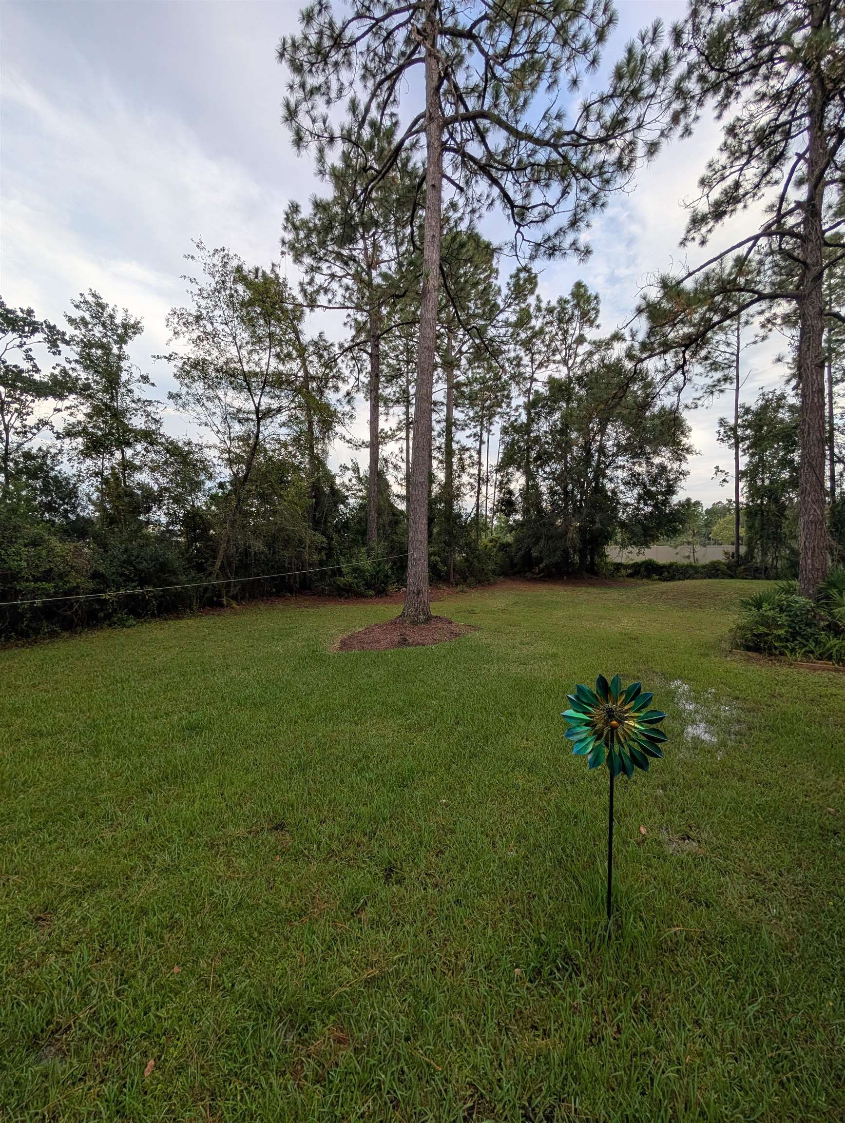 Image 17 of 19 For 1751 Neal Road