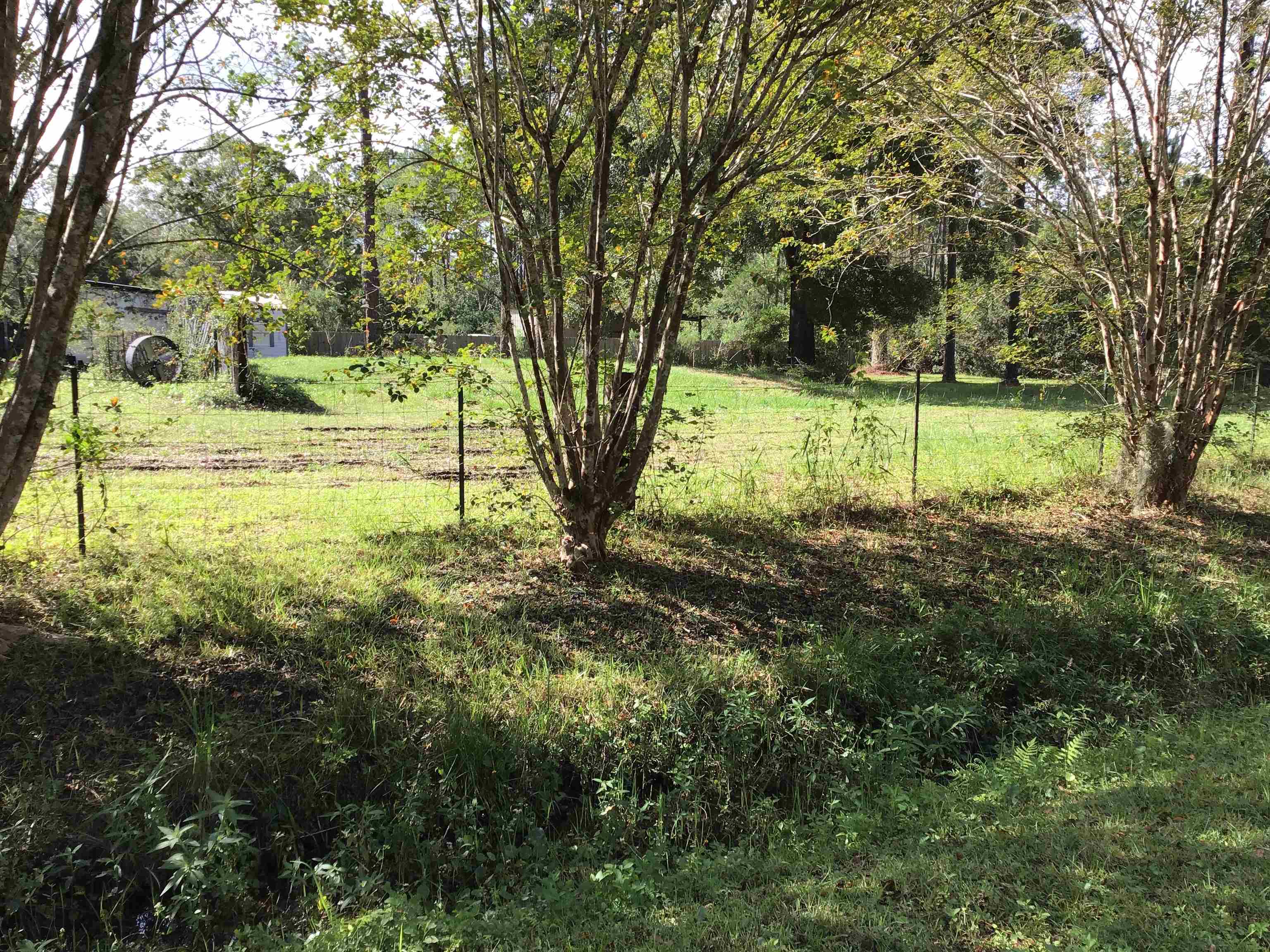 Image 4 of 17 For 4400 Florence St