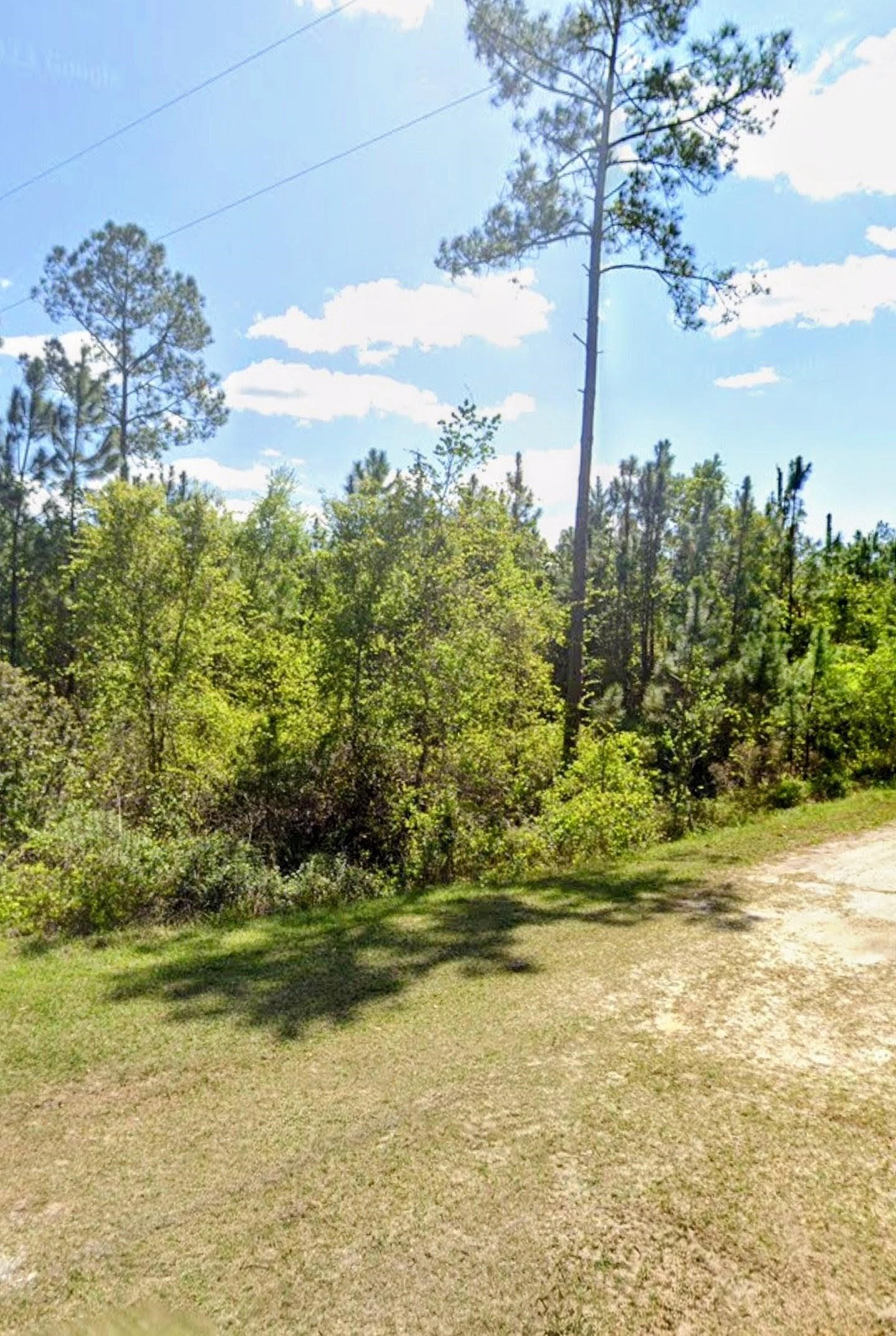 Details for Tbd Birch Blvd, Georgetown, FL 32139