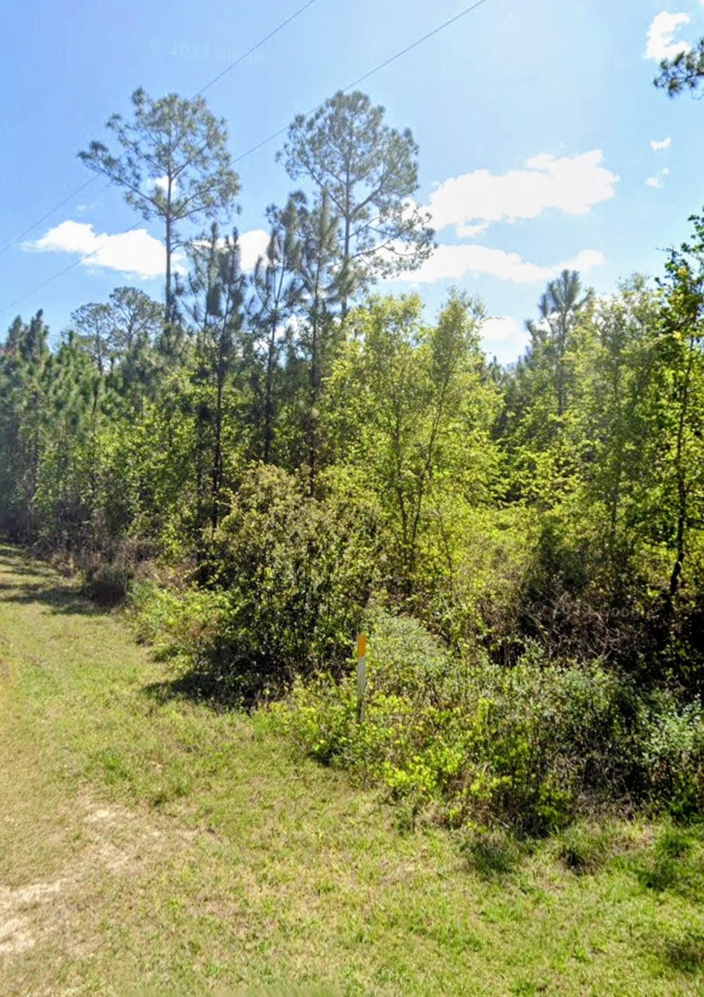 Image 2 of 7 For Tbd Birch Blvd