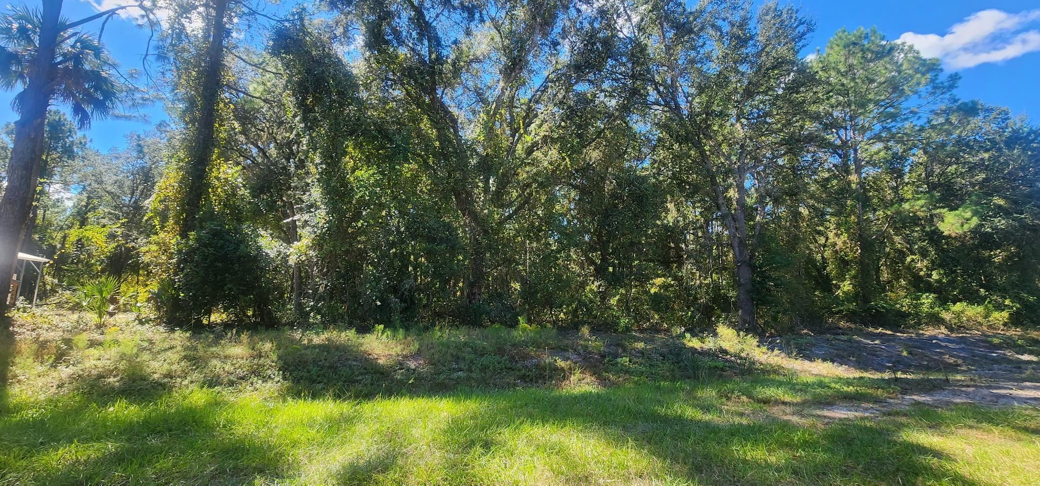 Details for 915 Paradise Blvd, Georgetown, FL 32139