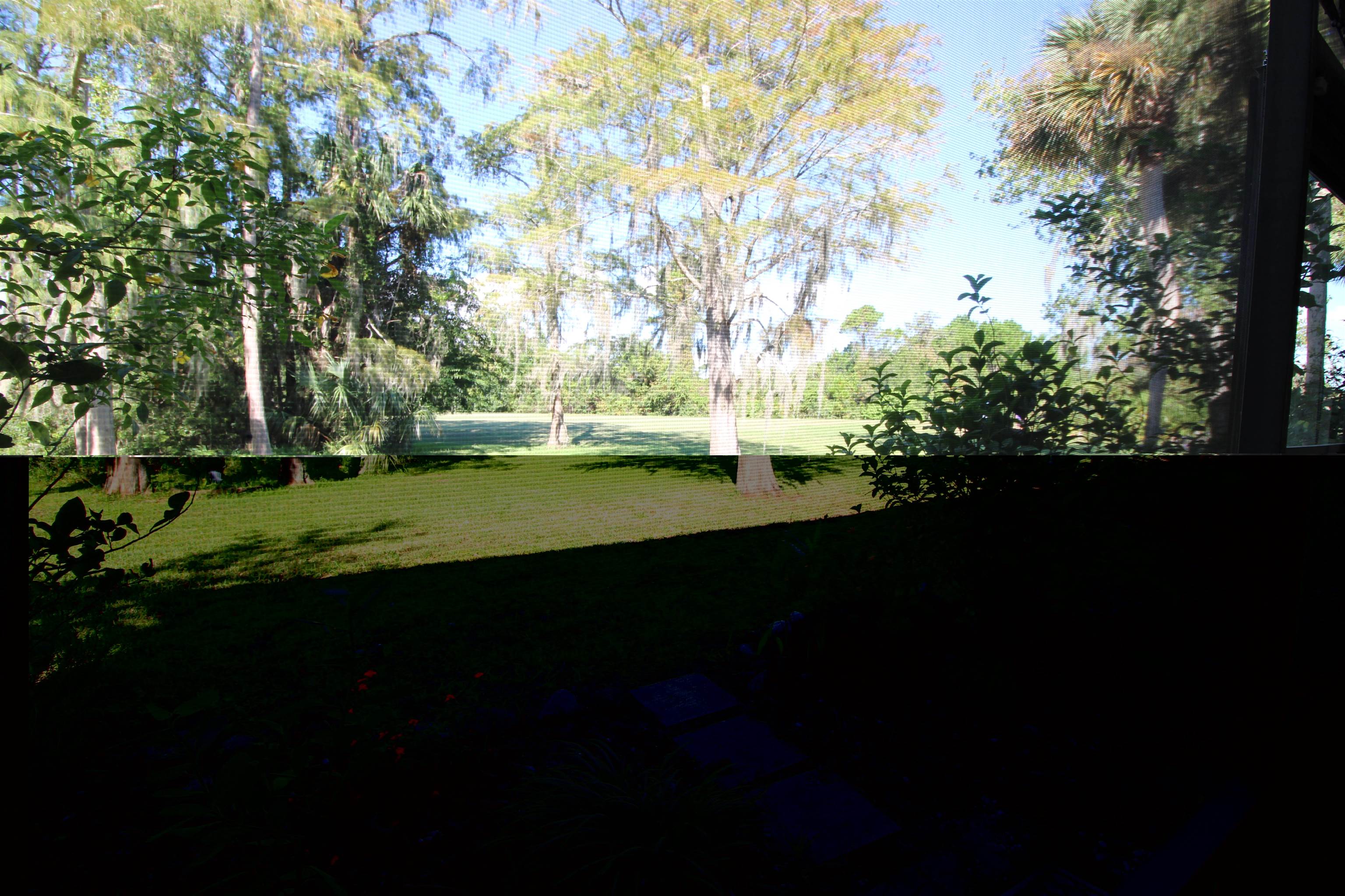 Image 35 of 38 For 600 Domenico Circle  F-1