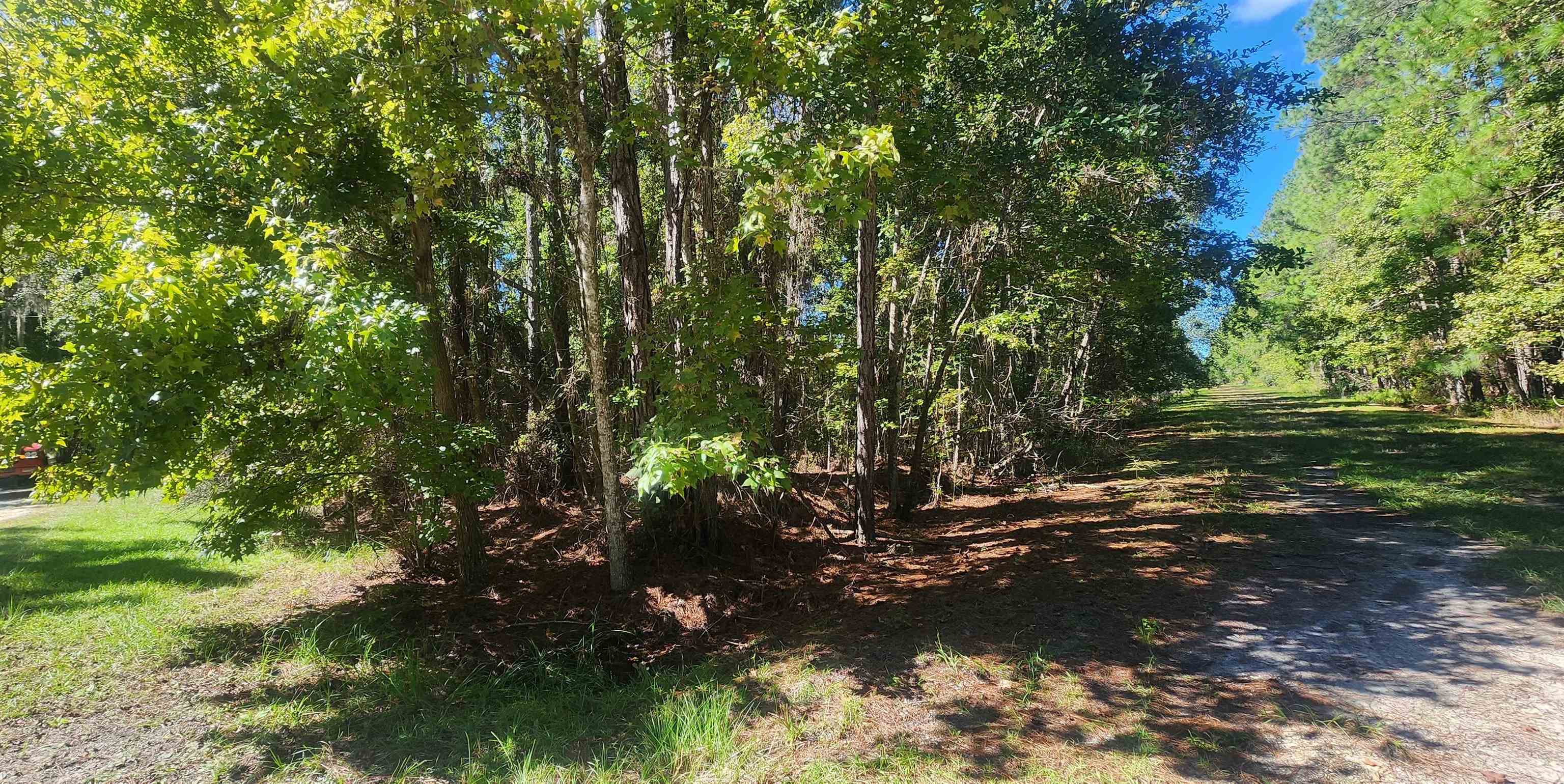 Details for Tbd Helen Ave, Georgetown, FL 32139