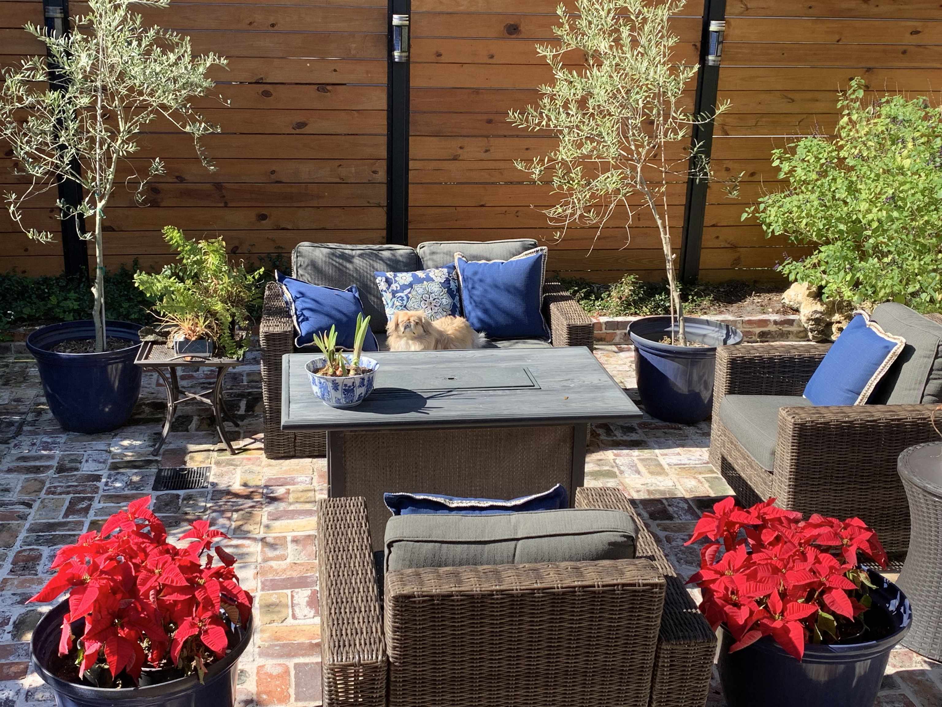 Image 13 of 15 For 70 Abbott St