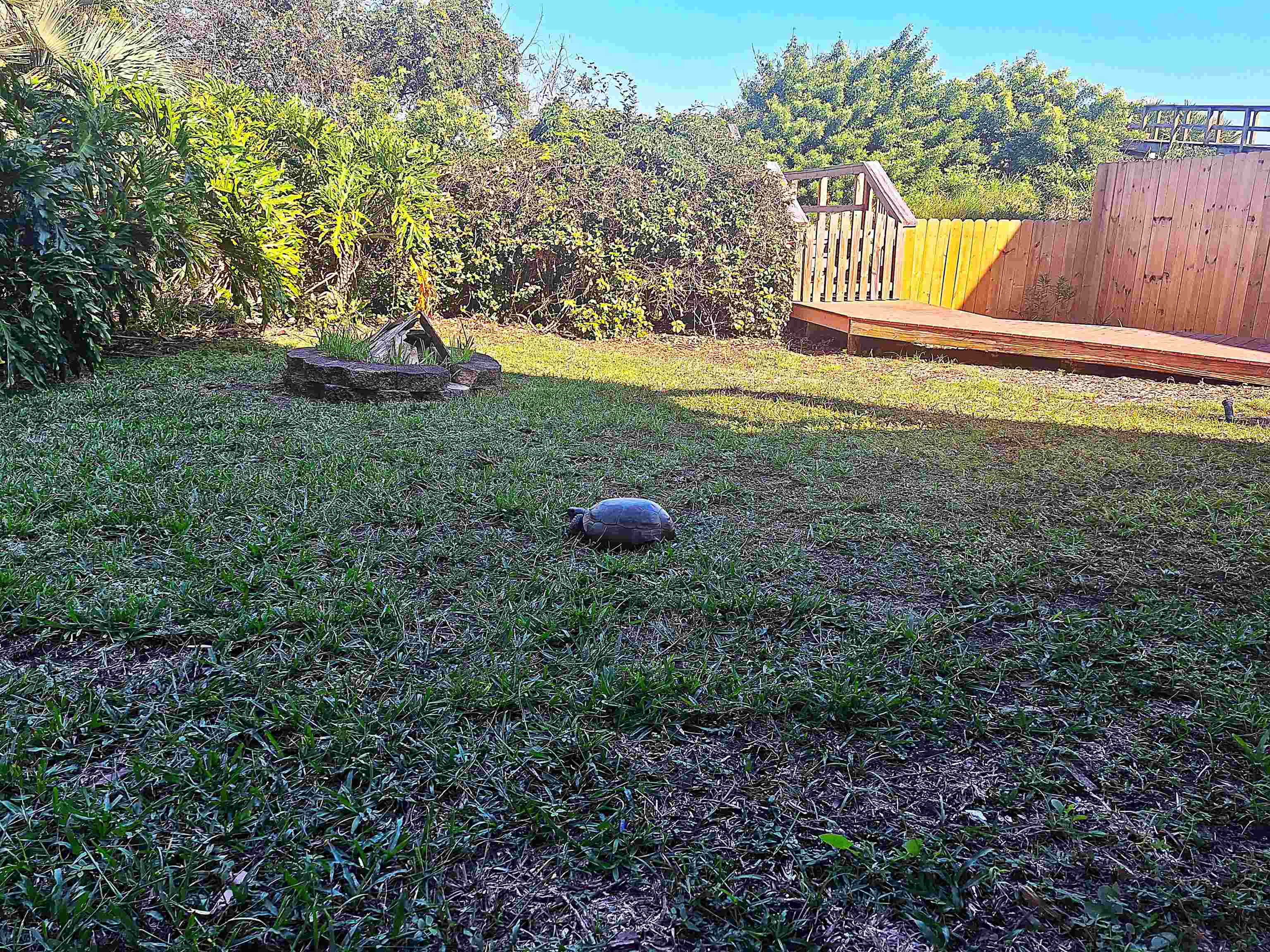 Image 82 of 100 For 5336 Atlantic View