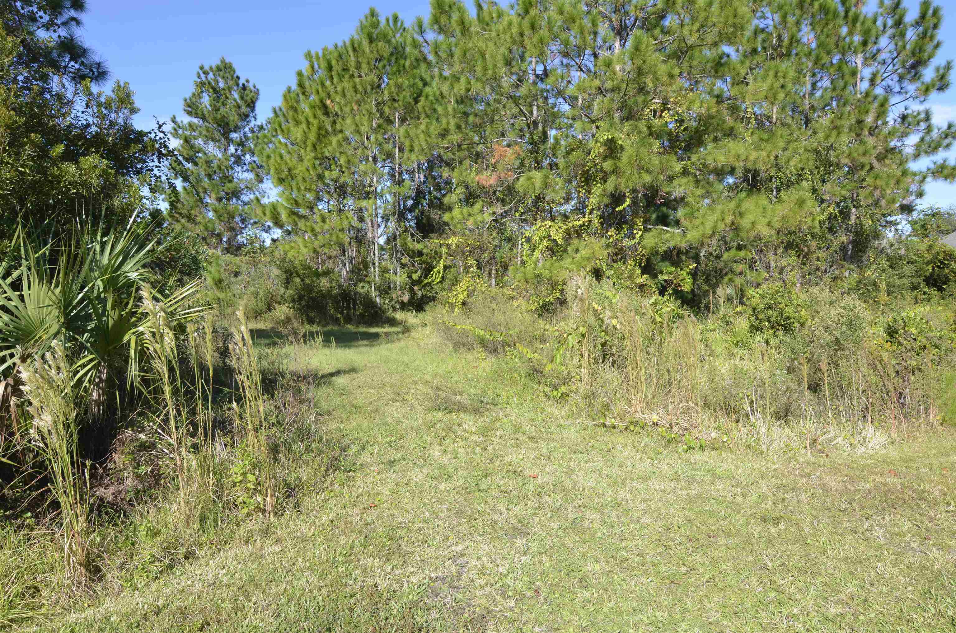 Image 2 of 10 For 105 Terri Dr