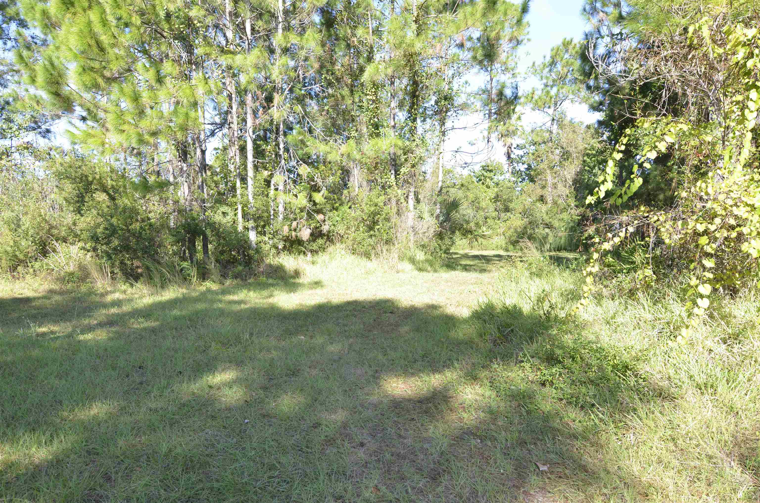 Image 3 of 10 For 105 Terri Dr