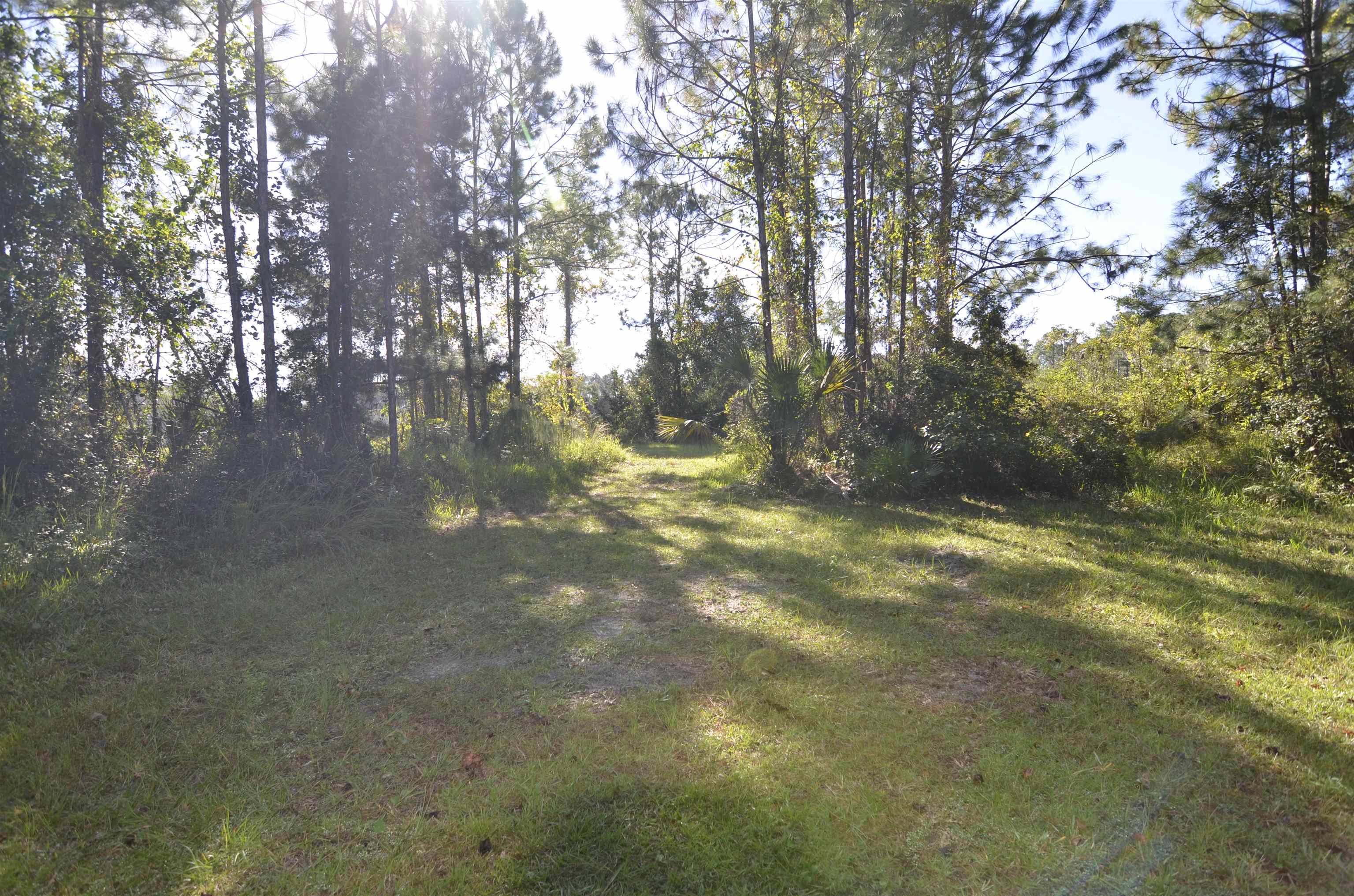 Image 4 of 10 For 105 Terri Dr