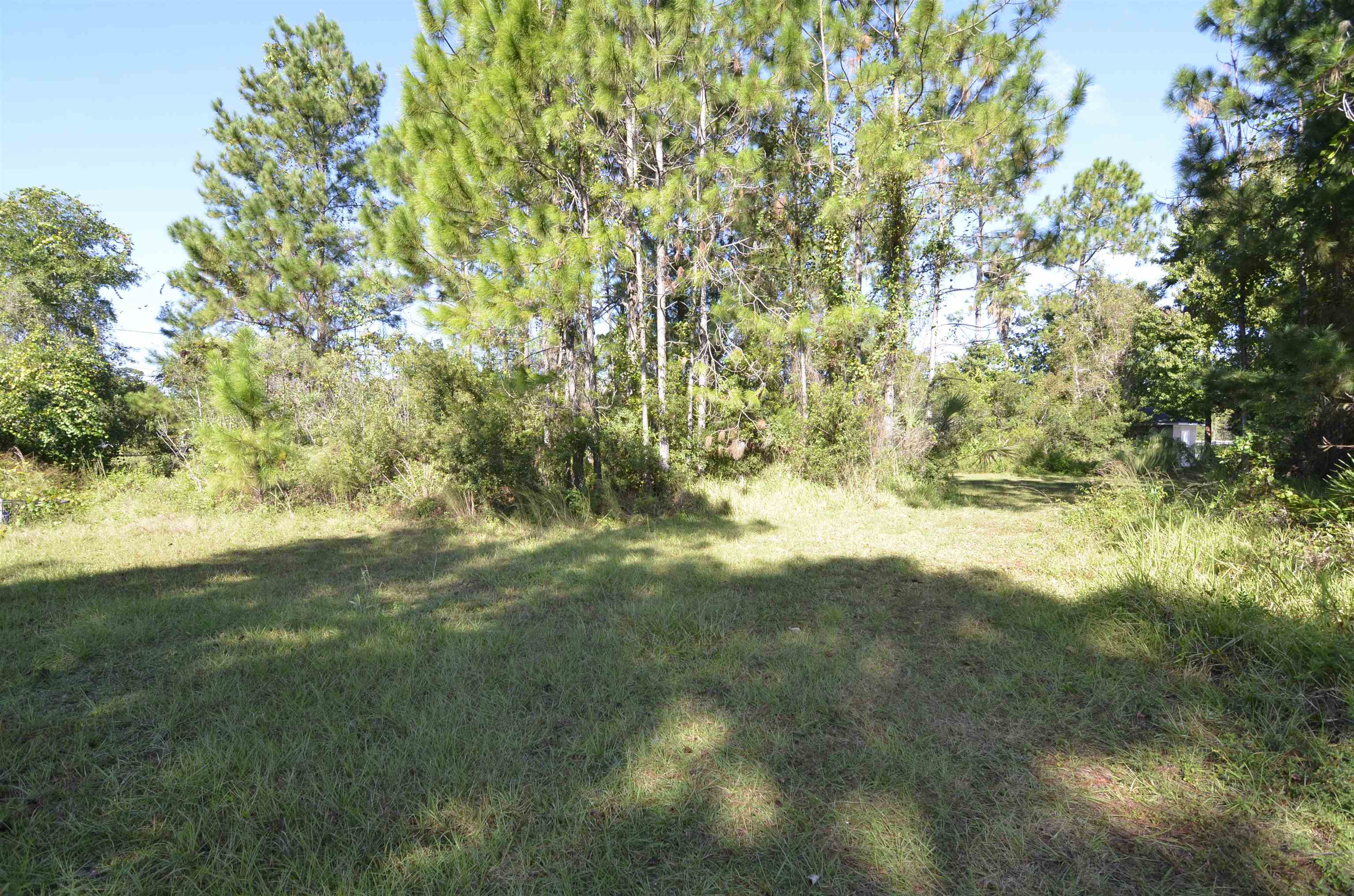 Image 5 of 10 For 105 Terri Dr