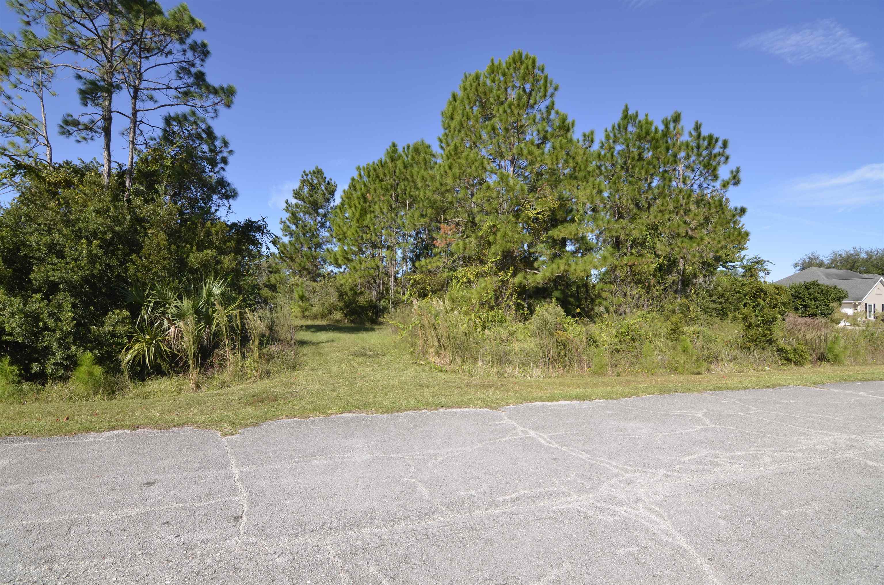 Image 6 of 10 For 105 Terri Dr