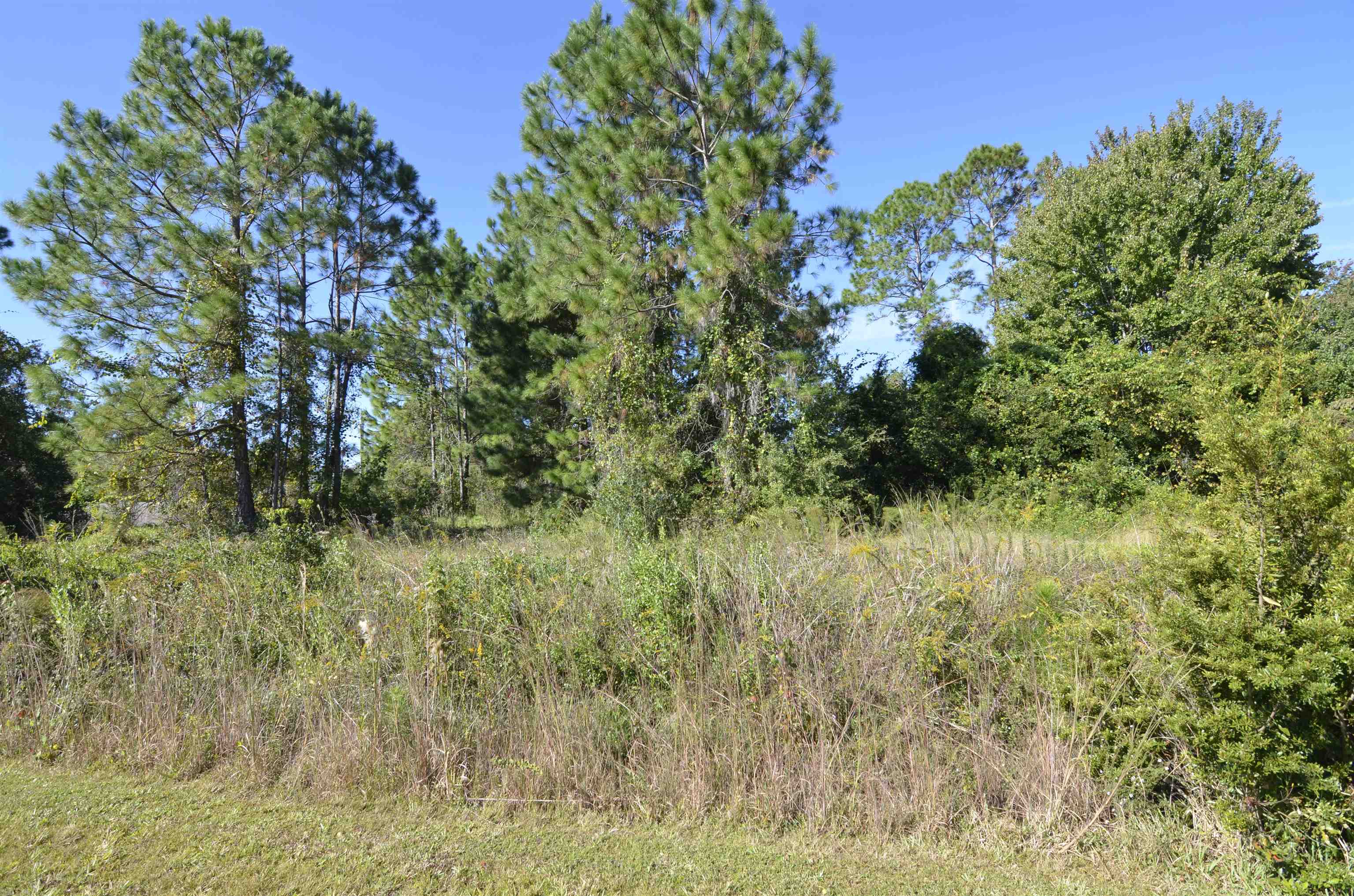 Image 7 of 10 For 105 Terri Dr