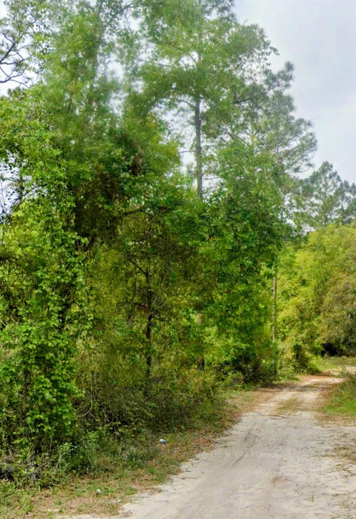 Listing Details for Tbd Edgeline Rd N, Satsuma, FL 32189