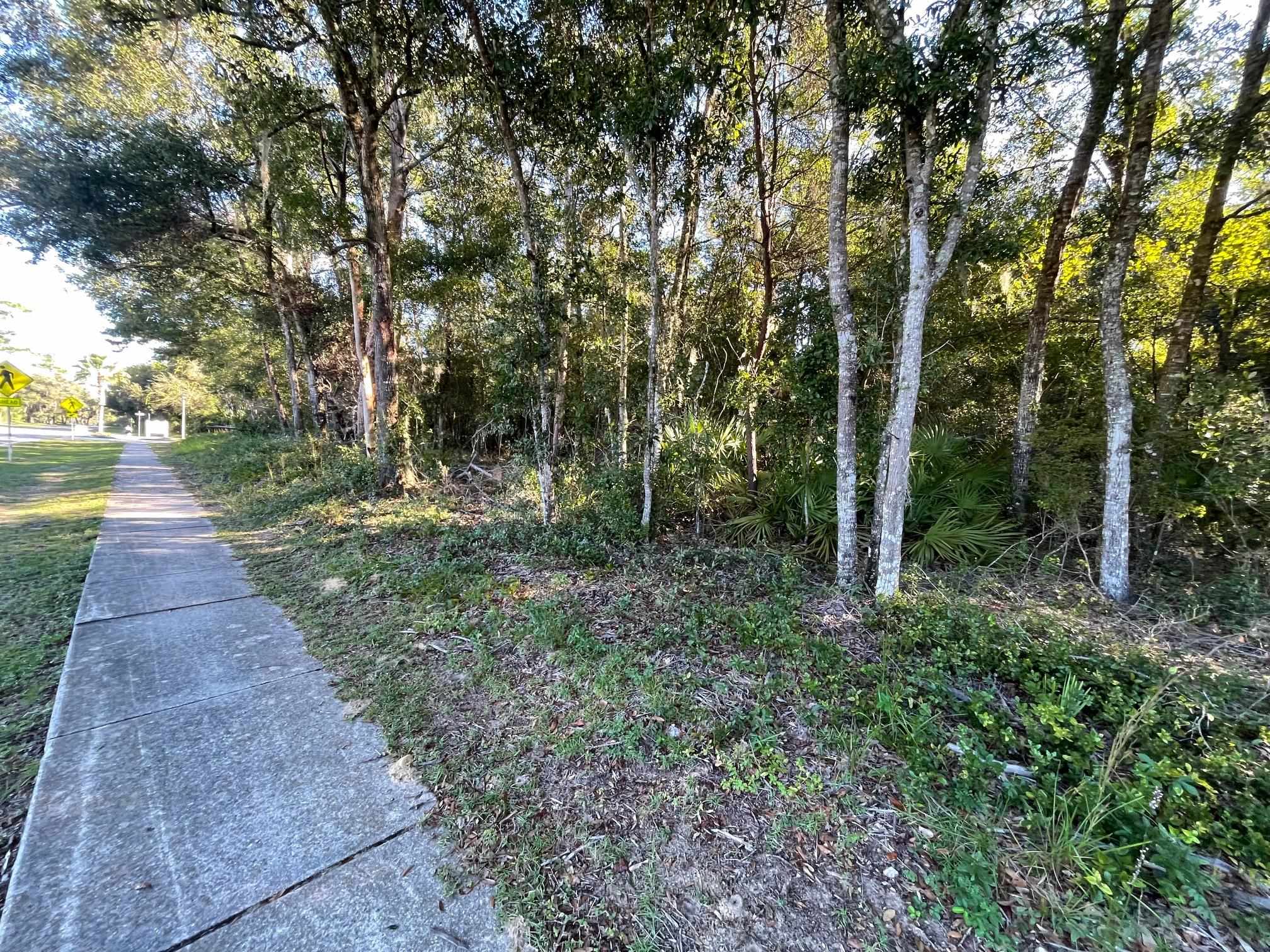 Image 10 of 33 For Shores Blvd