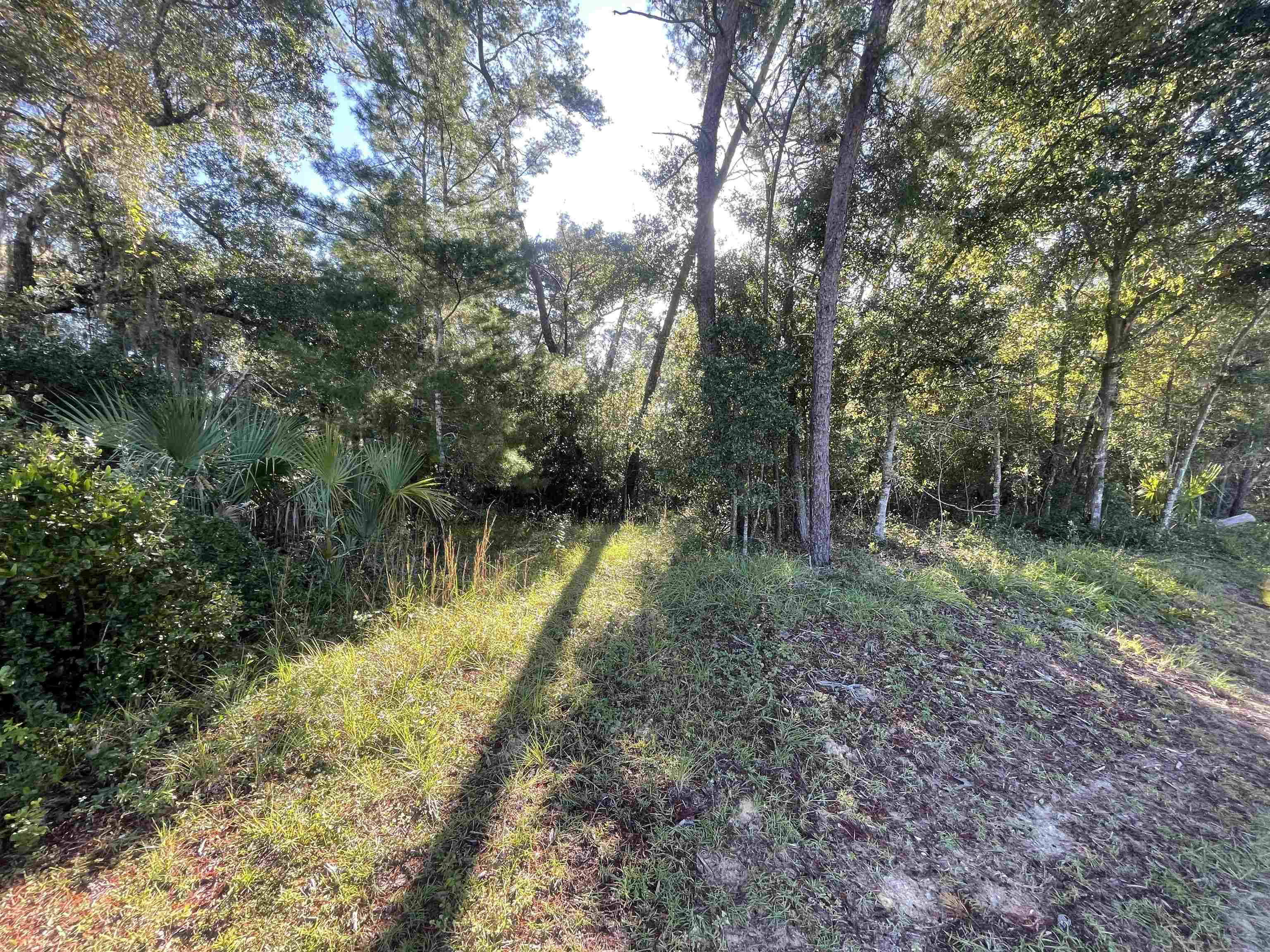 Image 11 of 33 For Shores Blvd