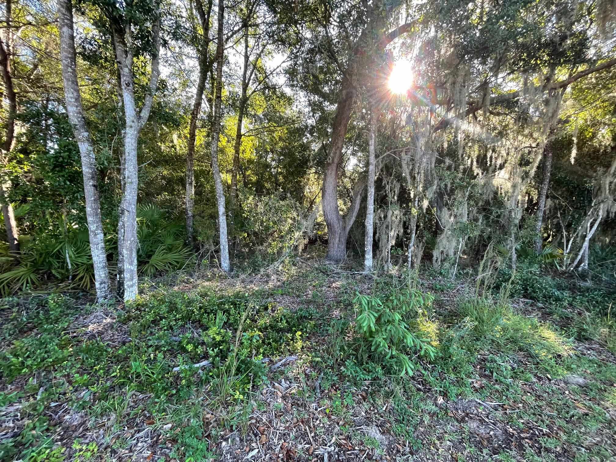 Image 14 of 33 For Shores Blvd