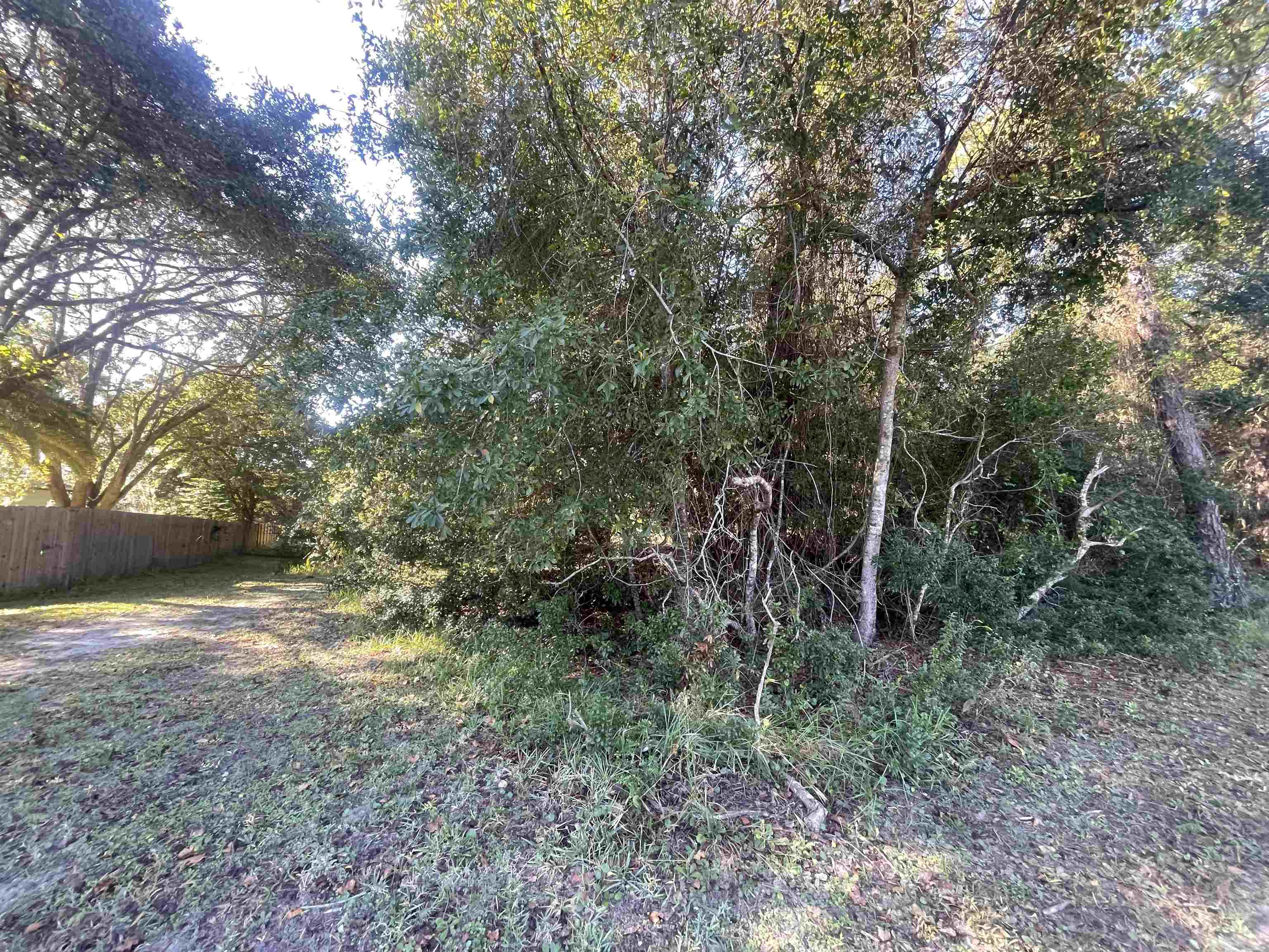 Image 17 of 33 For Shores Blvd