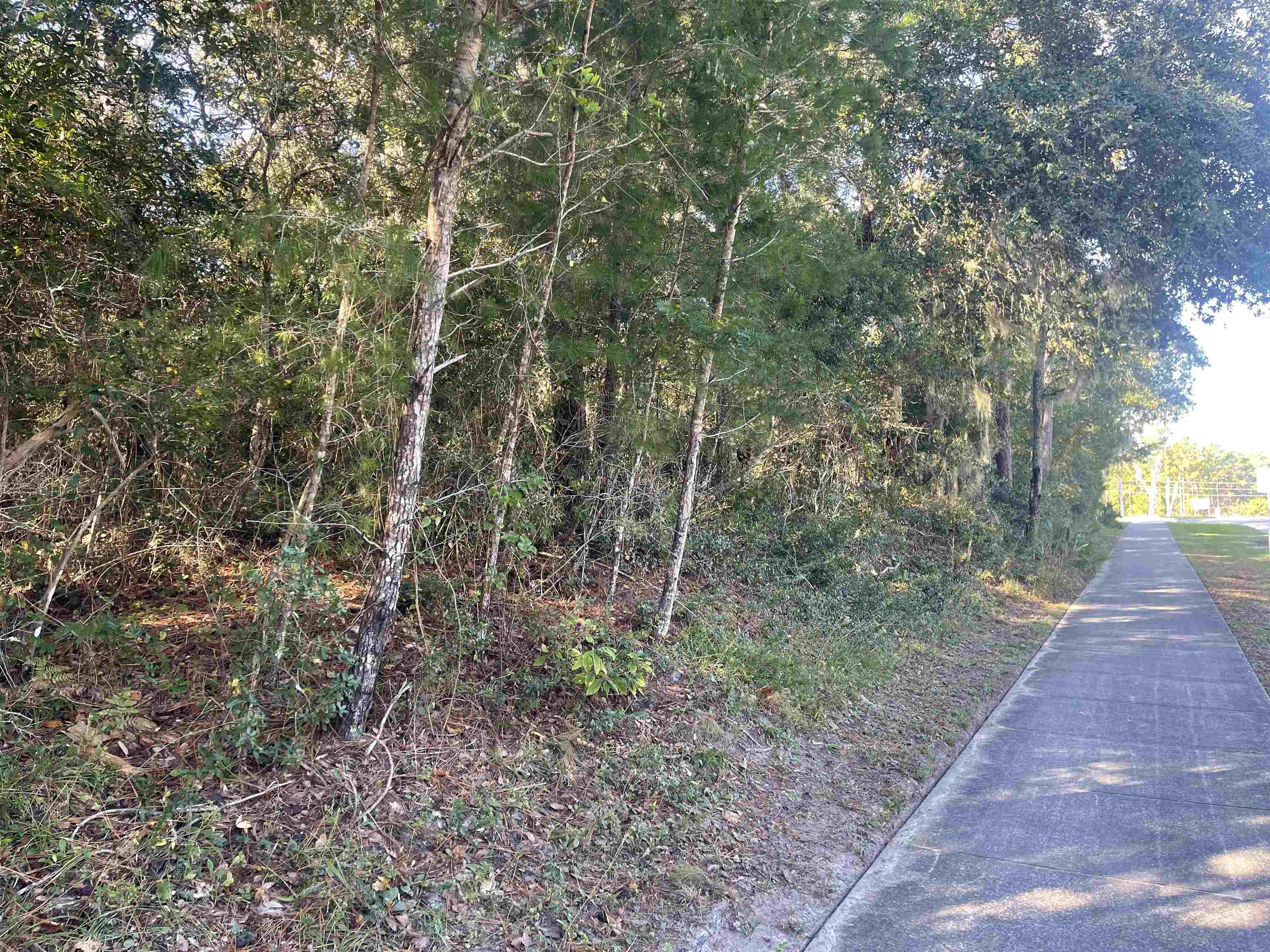 Image 19 of 33 For Shores Blvd