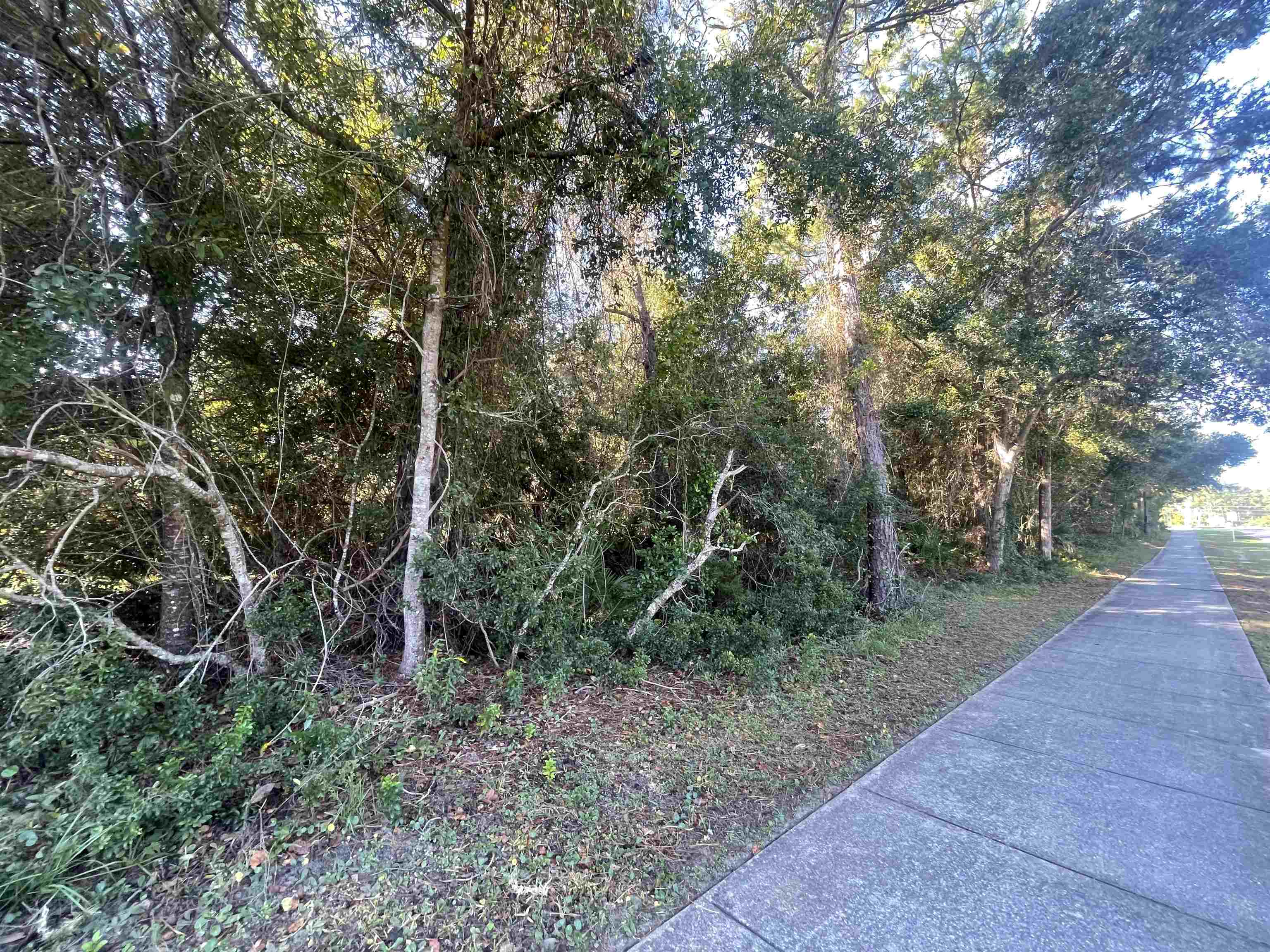 Image 23 of 33 For Shores Blvd