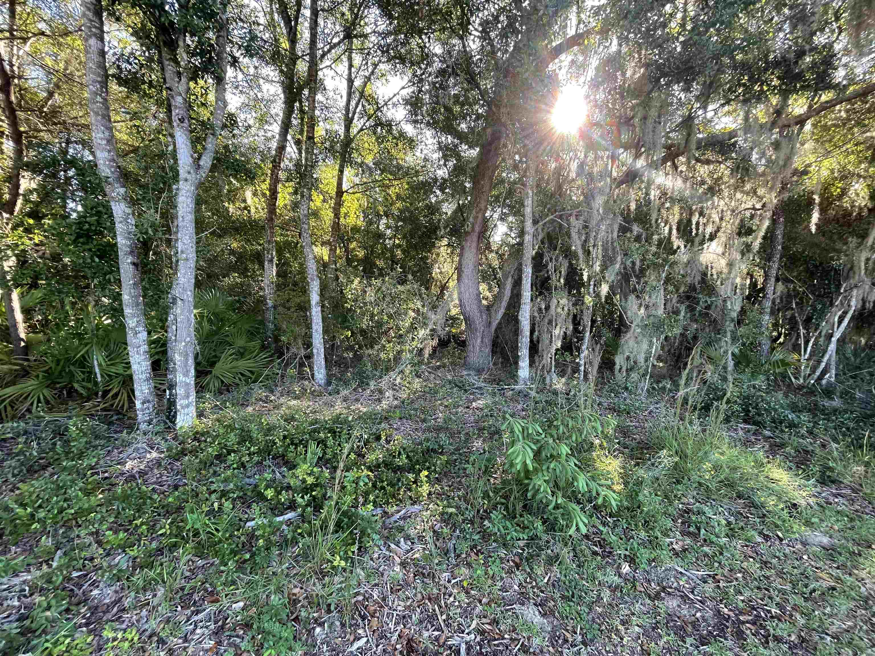 Image 25 of 33 For Shores Blvd