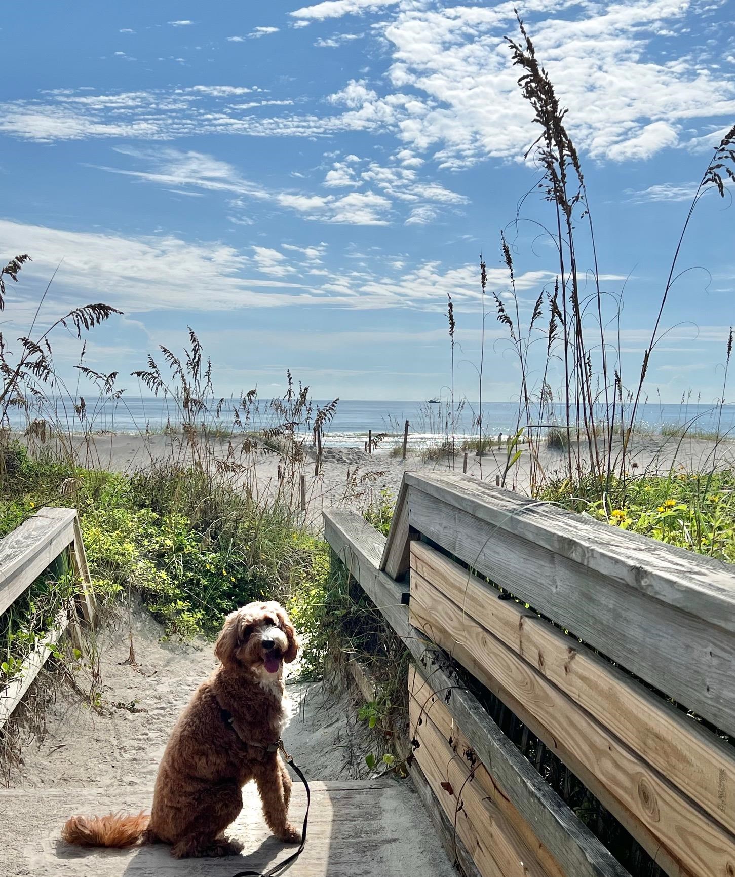 Image 57 of 85 For 1728 Sea Fair Dr