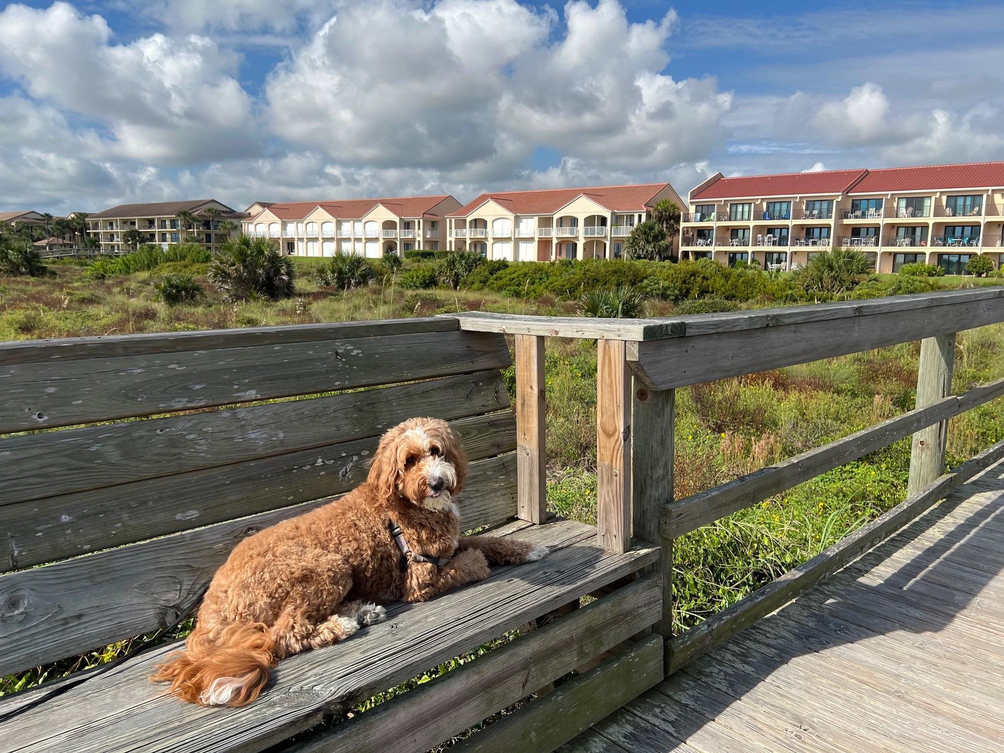 Image 58 of 85 For 1728 Sea Fair Dr