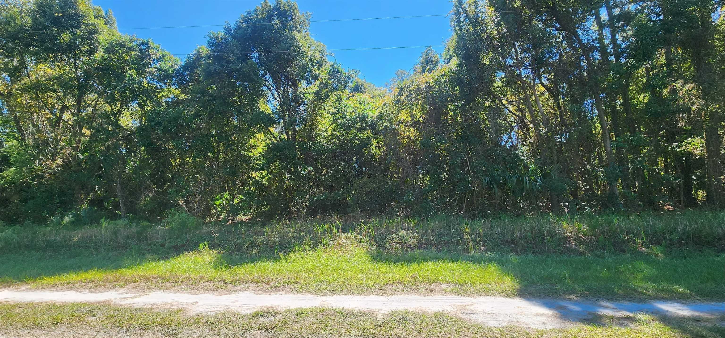 Details for 431 Redwood Blvd, Georgetown, FL 32139