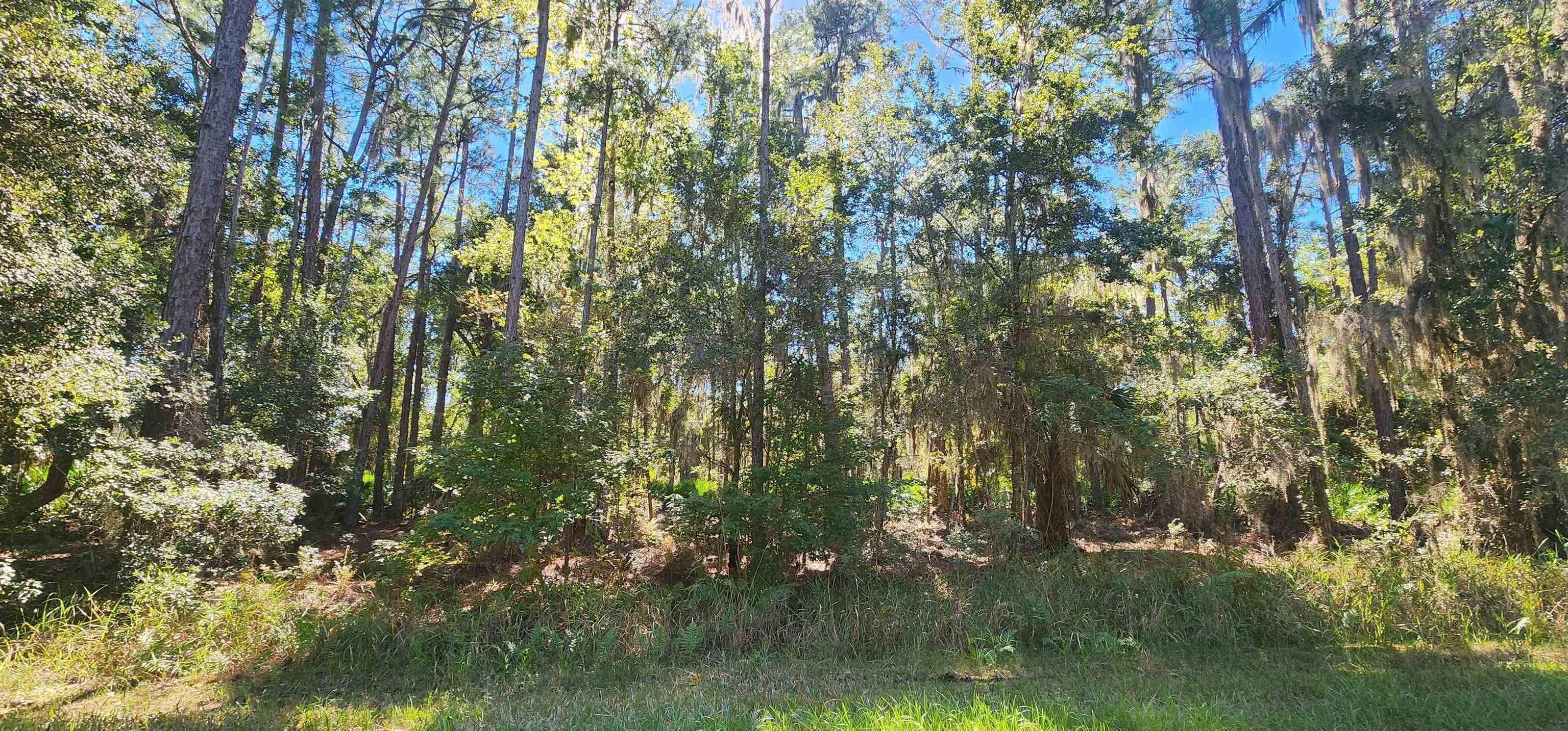 Details for 205 Terri Ave, Georgetown, FL 32139