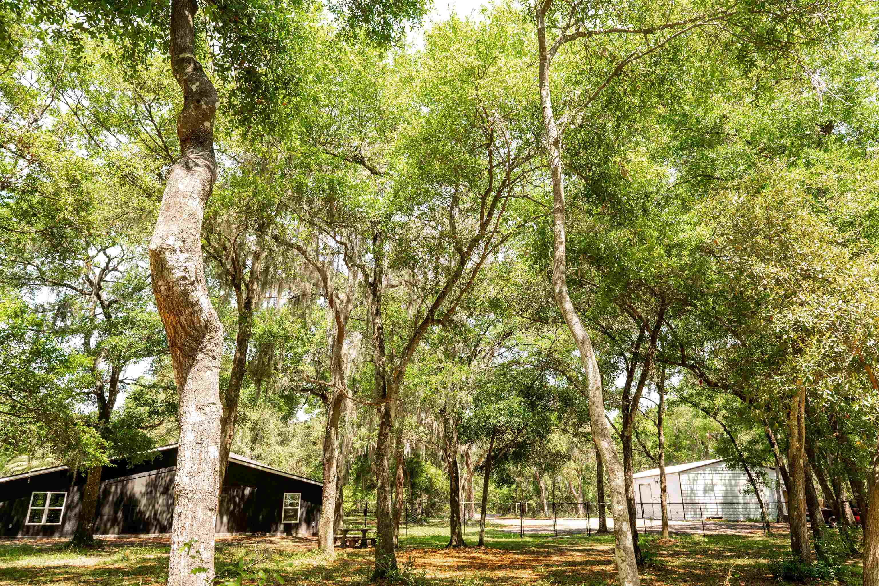 Image 15 of 42 For 2950 Kings Rd