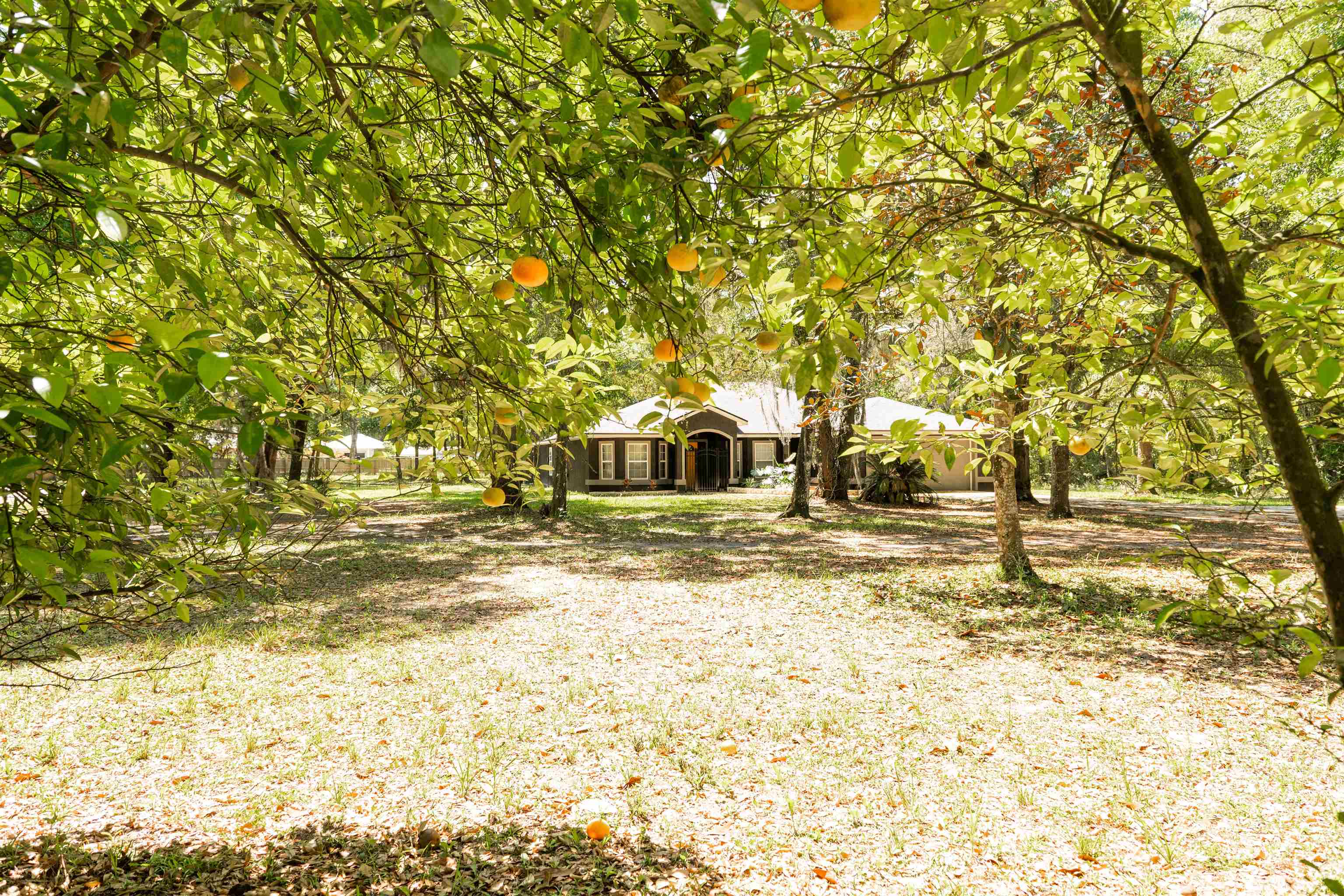 Image 2 of 42 For 2950 Kings Rd