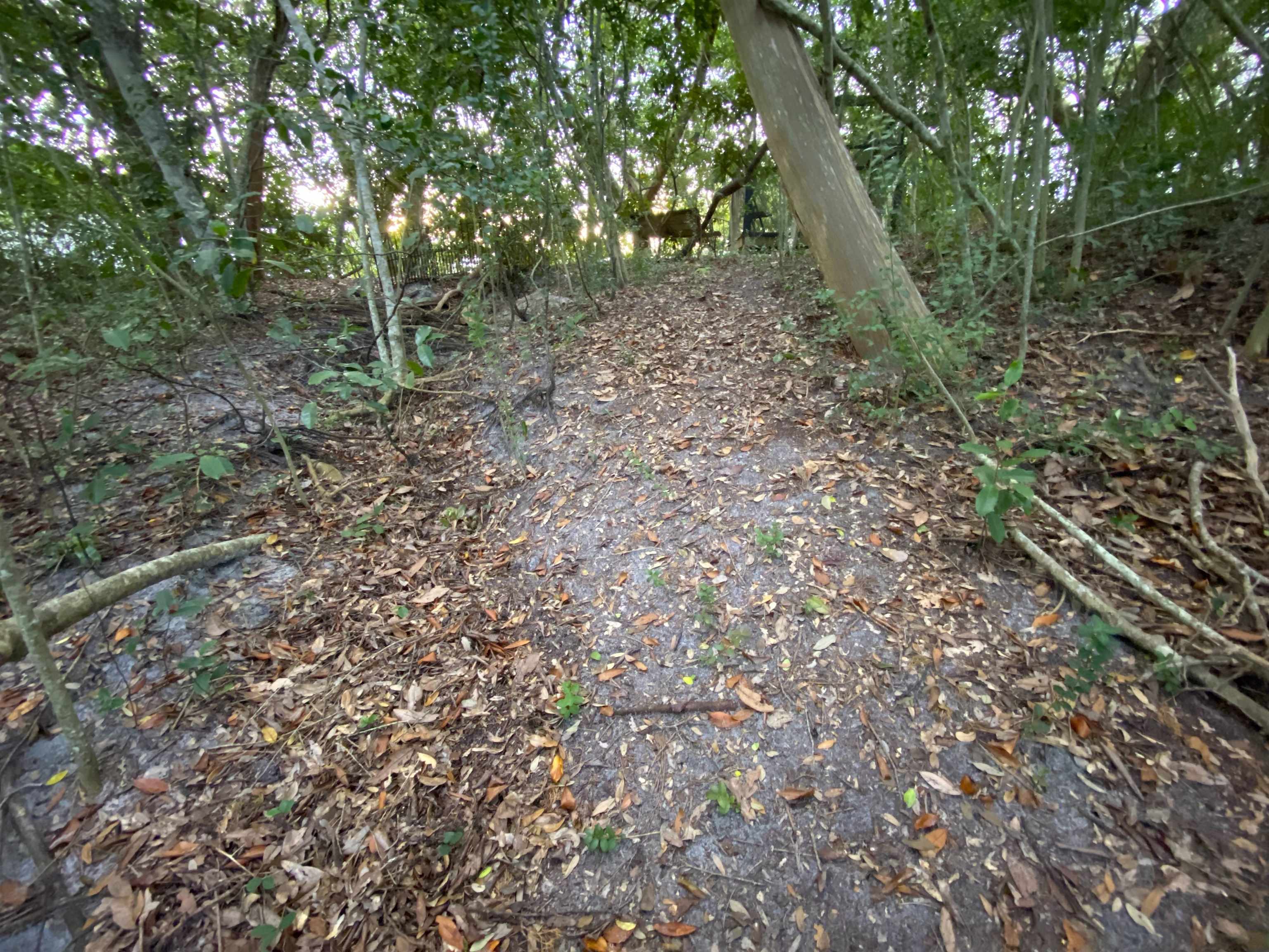 Image 6 of 20 For 489 Ridgeway Rd