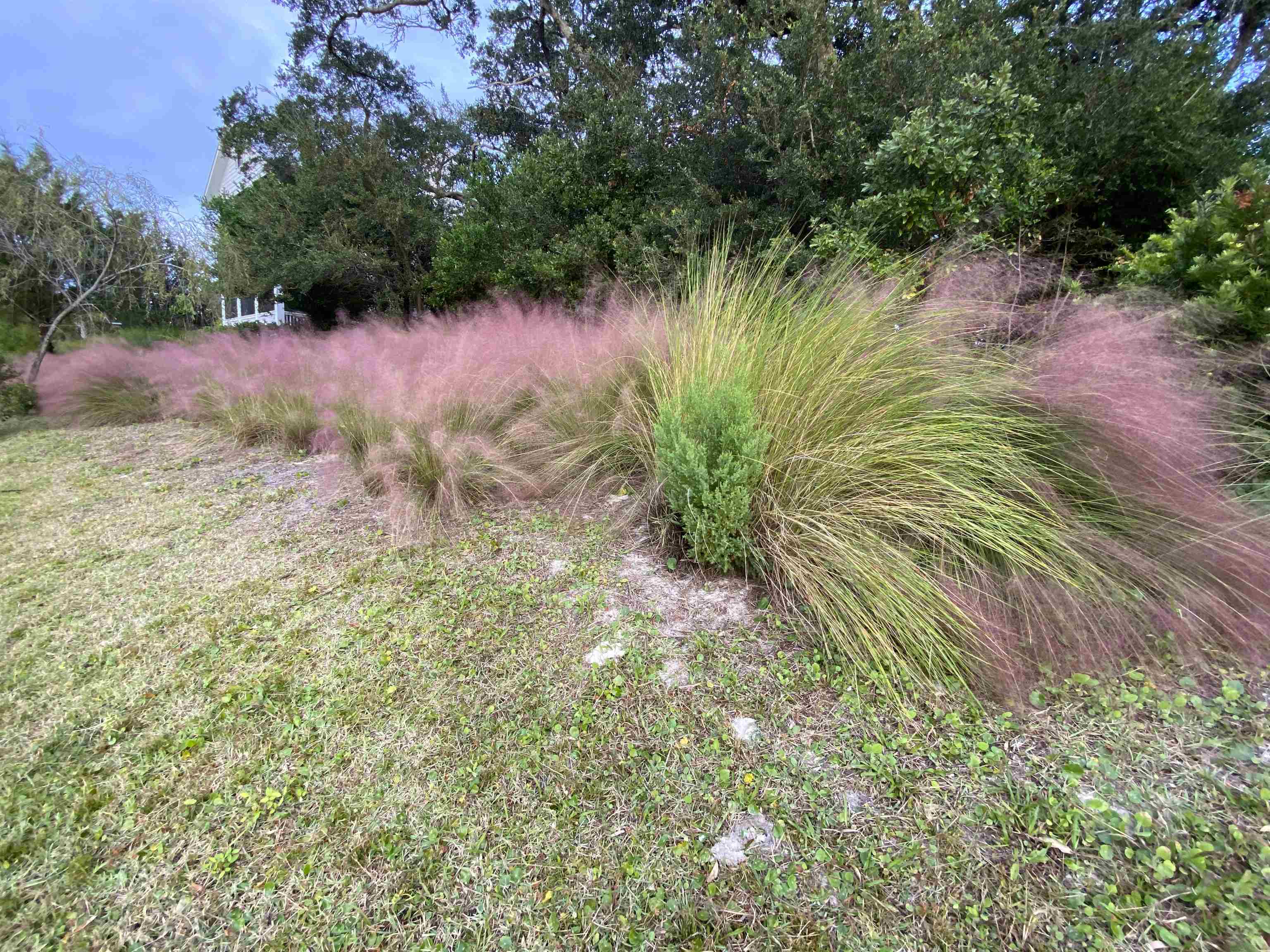 Image 8 of 20 For 489 Ridgeway Rd