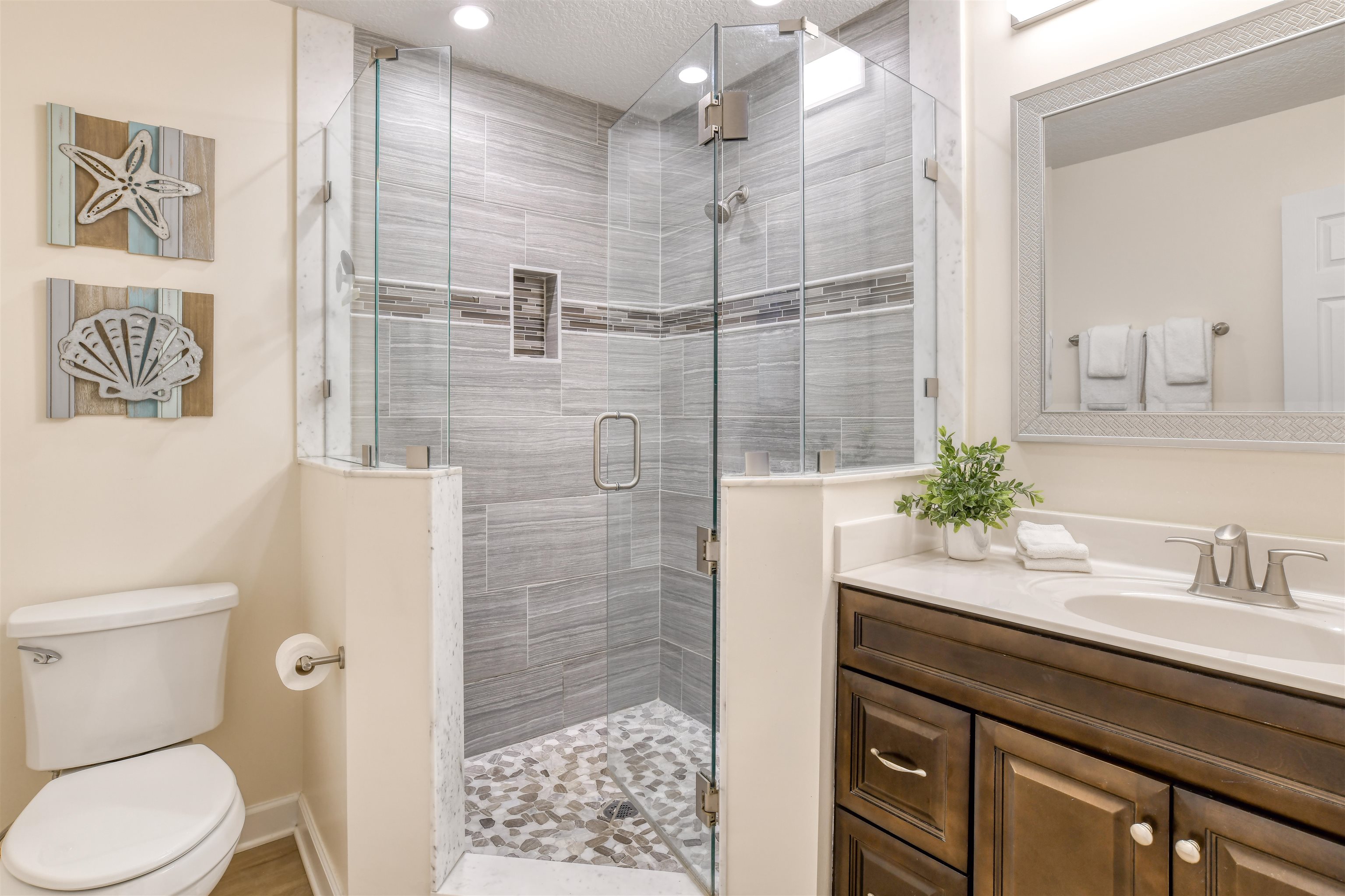 Image 25 of 40 For 8550 A1a #162 S