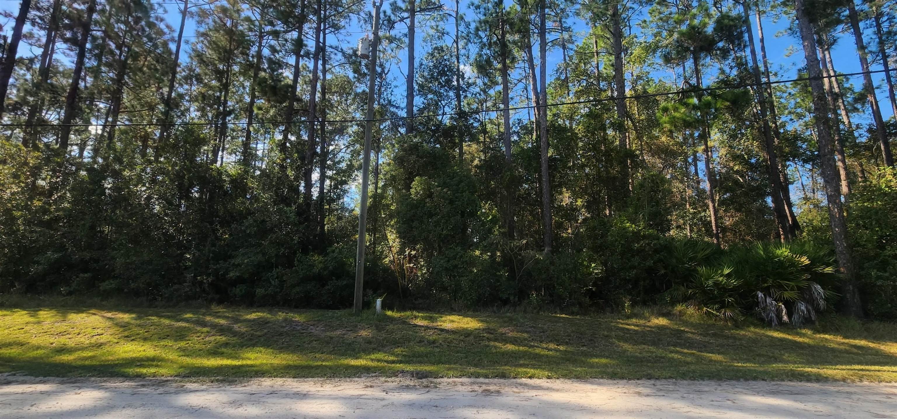 Listing Details for Tbd Bowfin Dr, Palatka, FL 32177
