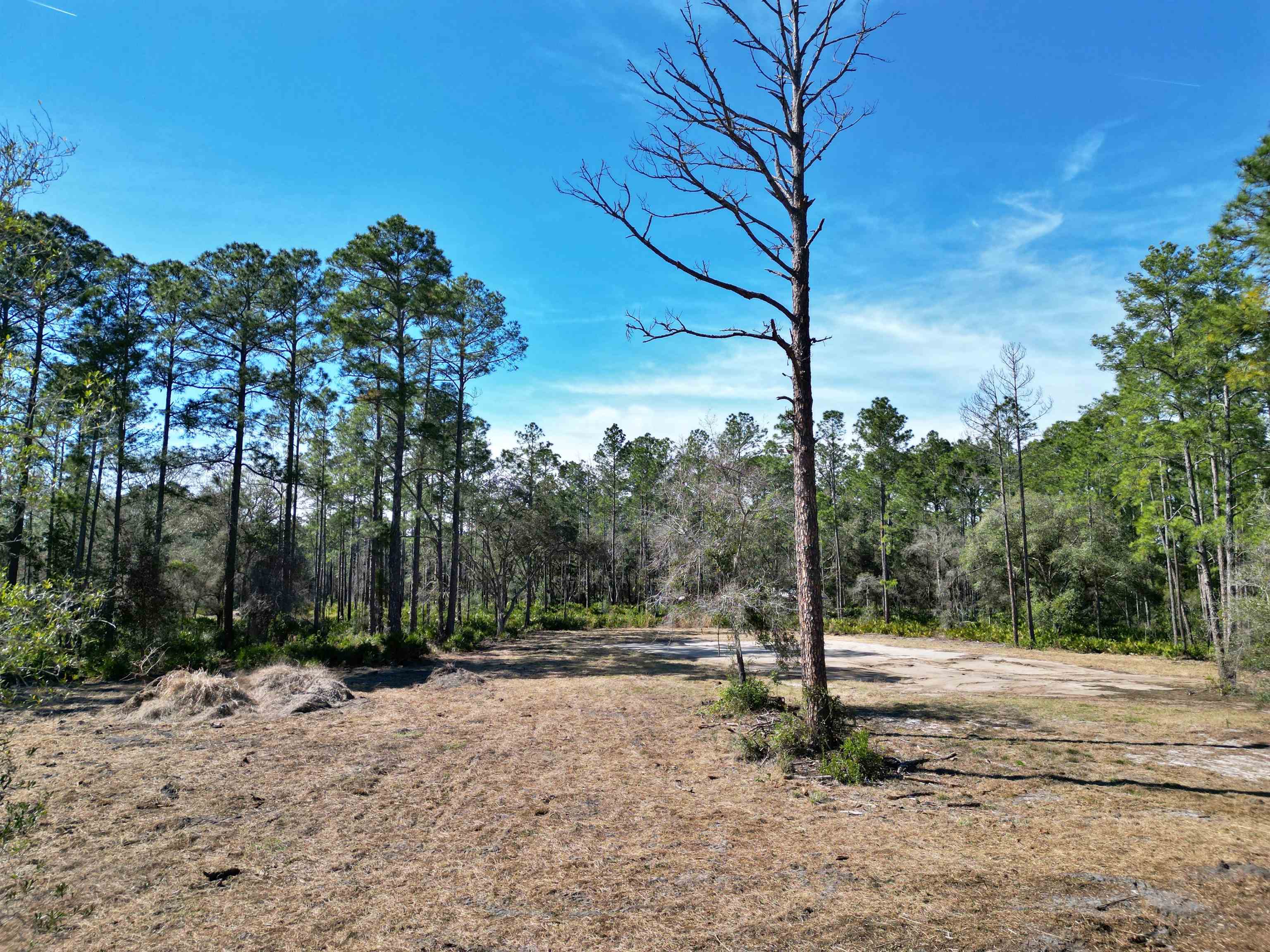 Image 3 of 10 For 10455 Yeager Ave ( 3 Lots )