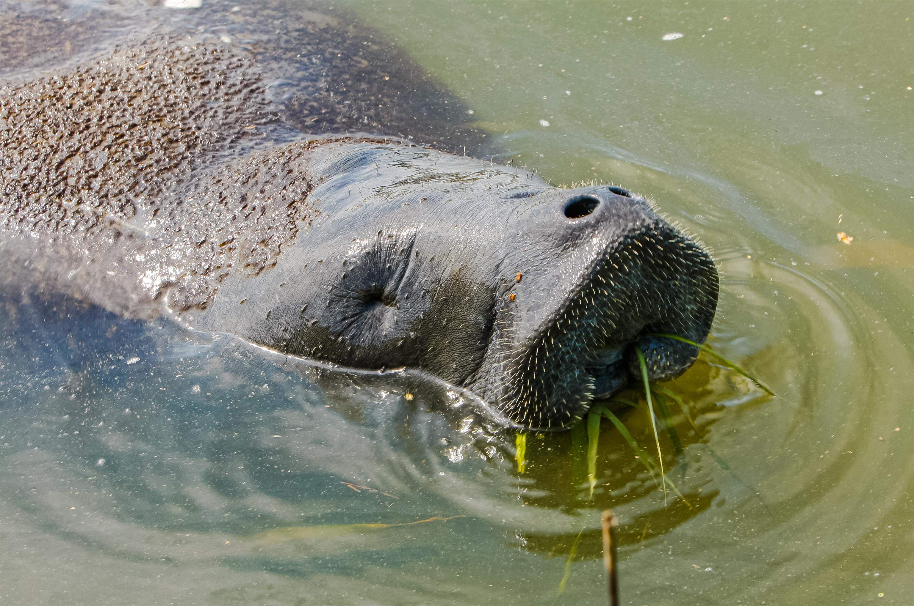 Image 73 of 77 For 132 Terrapin Rd