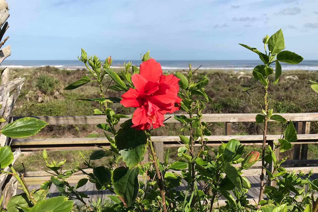 Image 26 of 26 For 6300 A1a South, Unit B4-4u S B44u