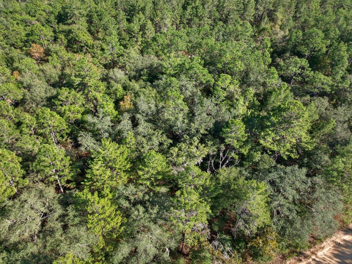 Image 16 of 28 For 0 Usina Ave  