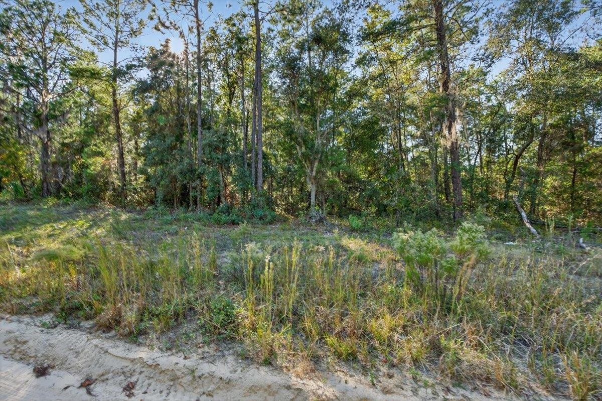 Image 24 of 28 For 0 Usina Ave  