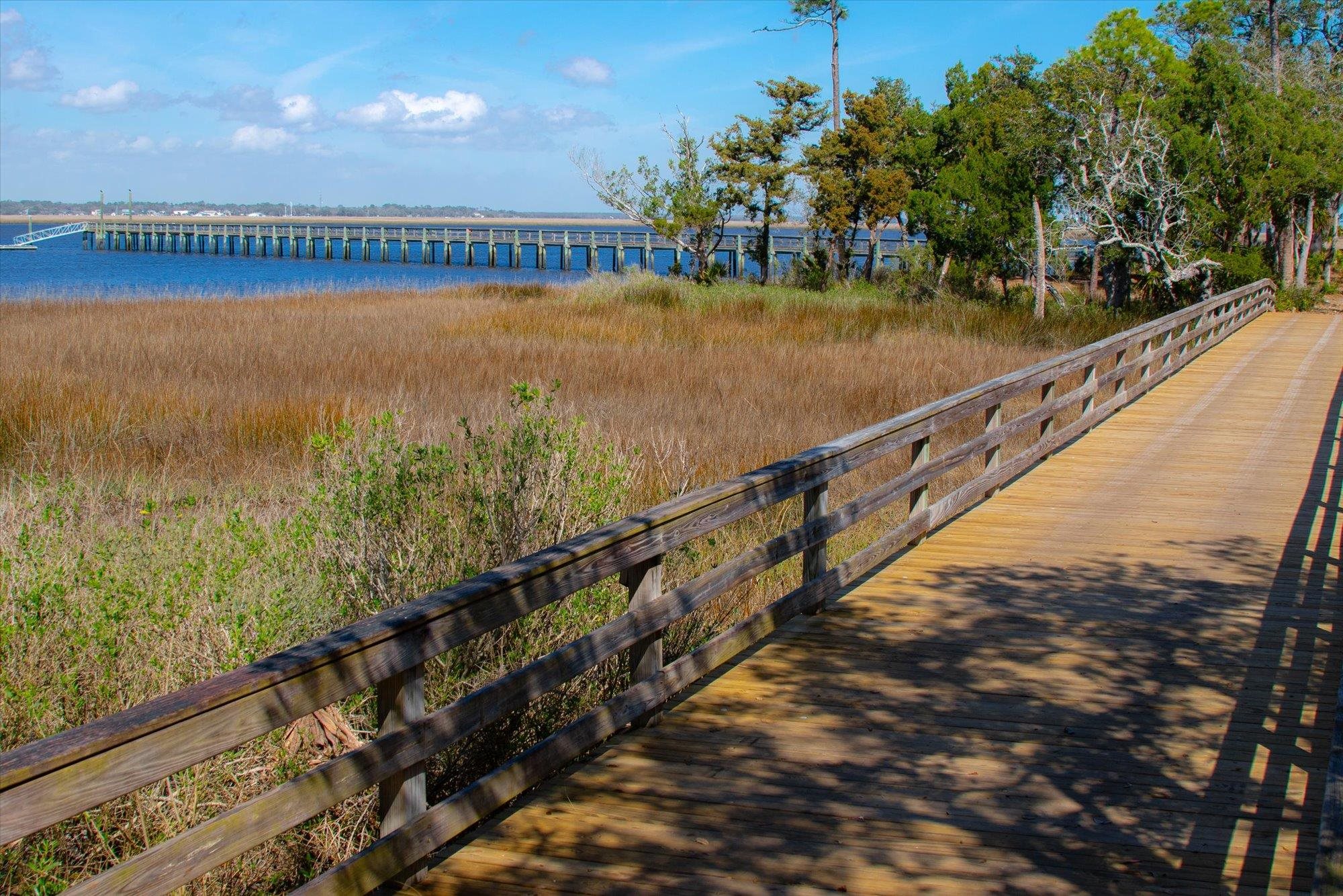 Image 64 of 68 For 29318 Grandview Manor