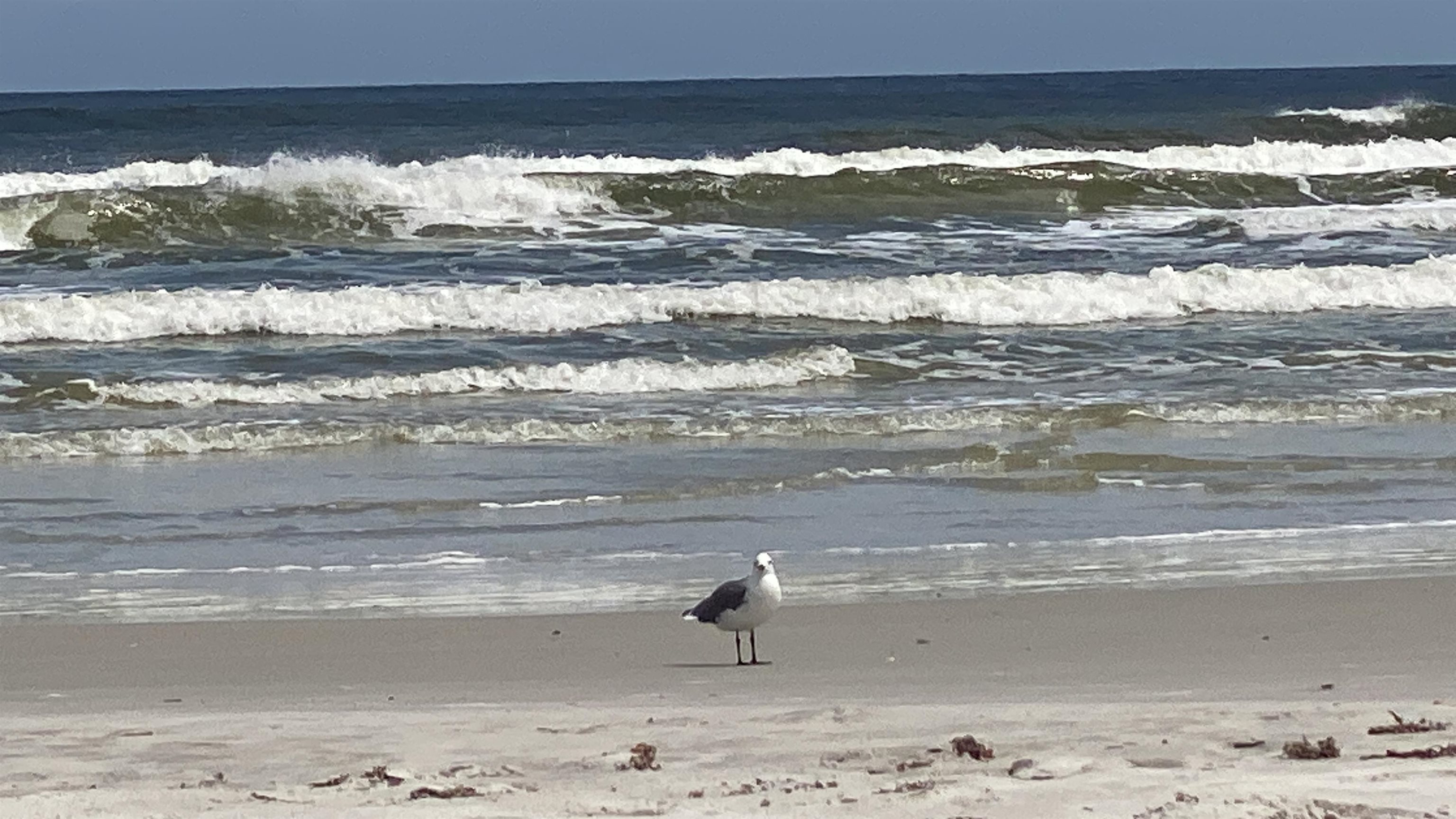 Image 53 of 53 For 880 A1a Beach Blvd  5212
