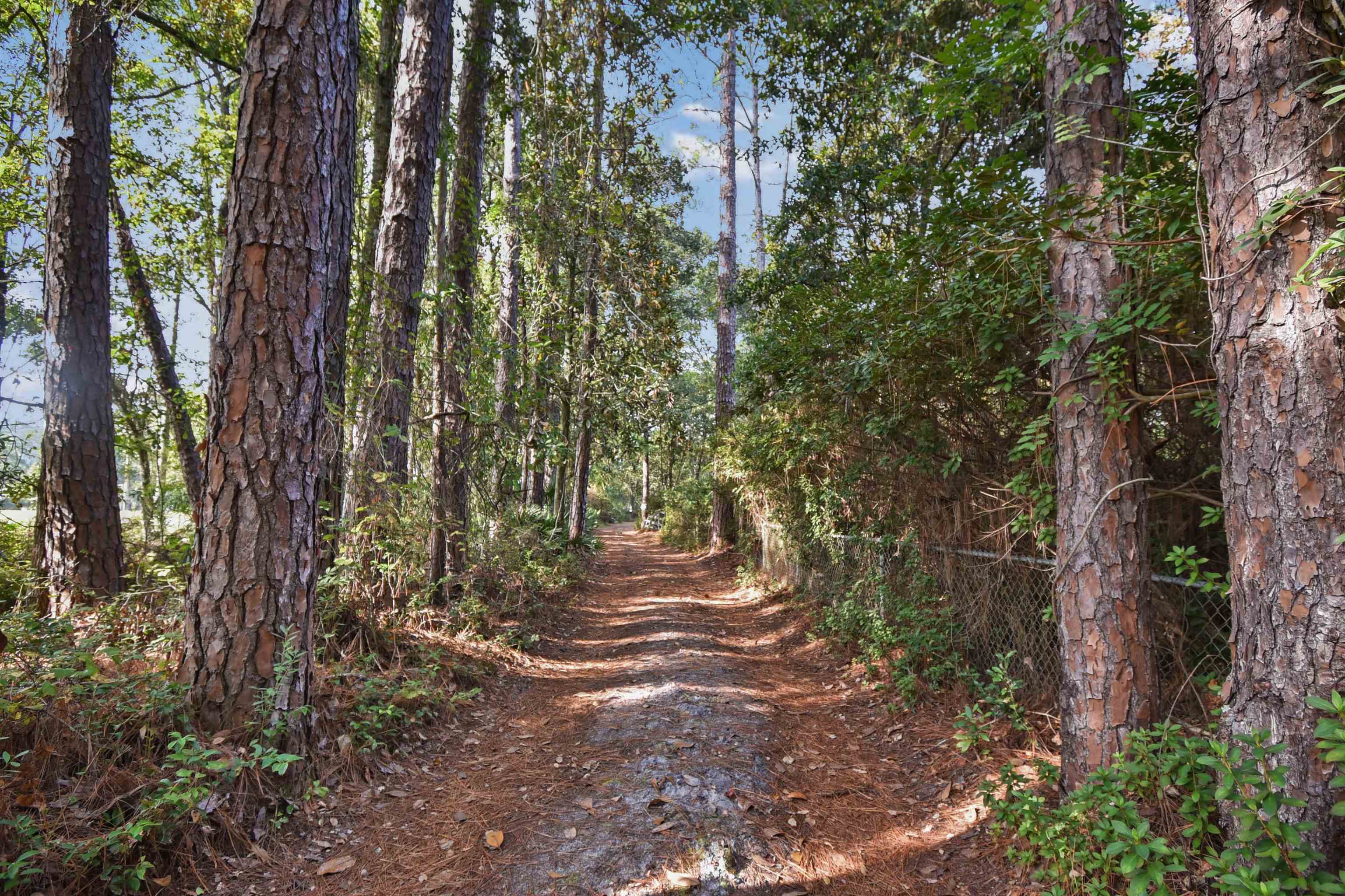 Image 11 of 13 For 11595 Normandy Blvd