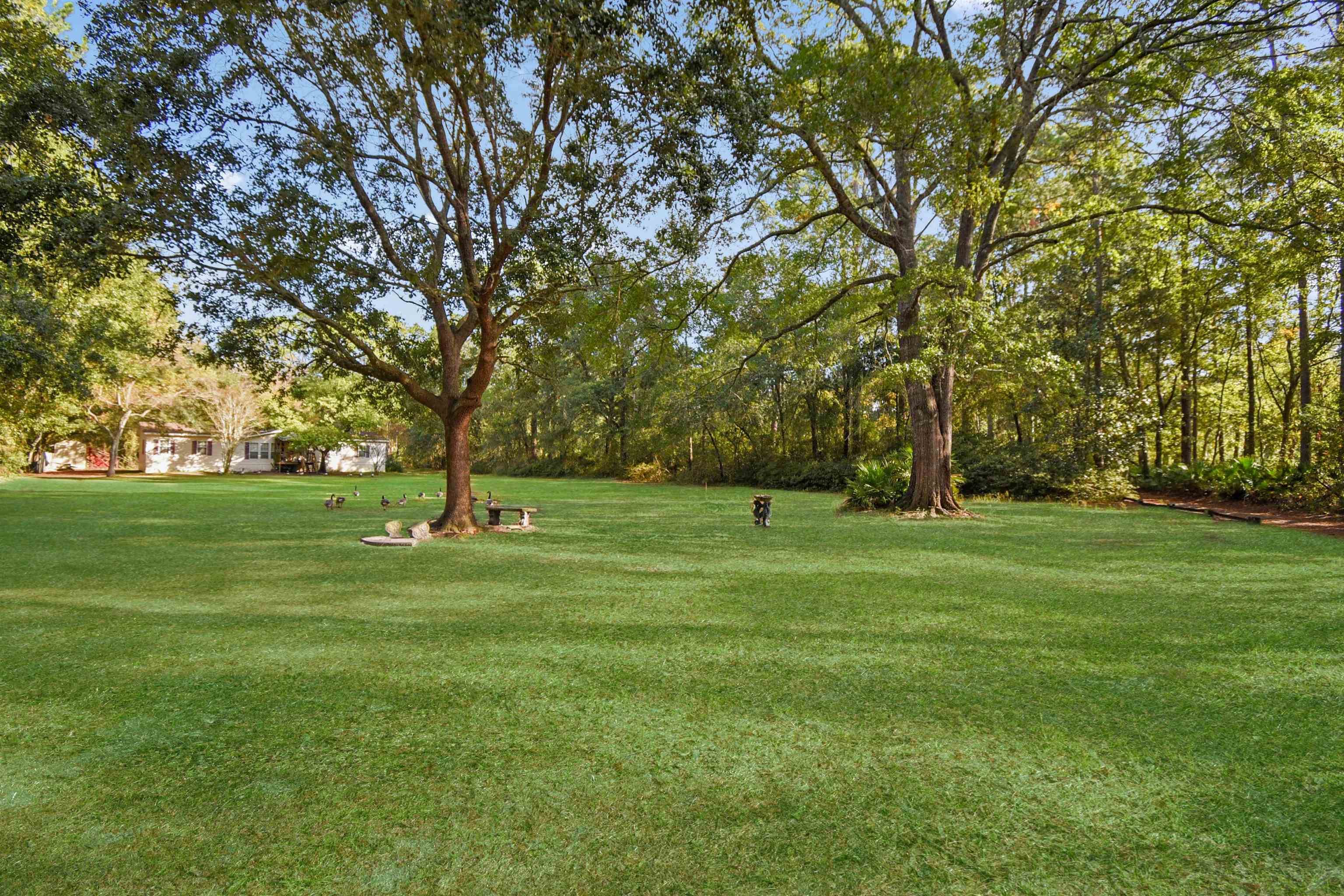 Image 3 of 13 For 11595 Normandy Blvd