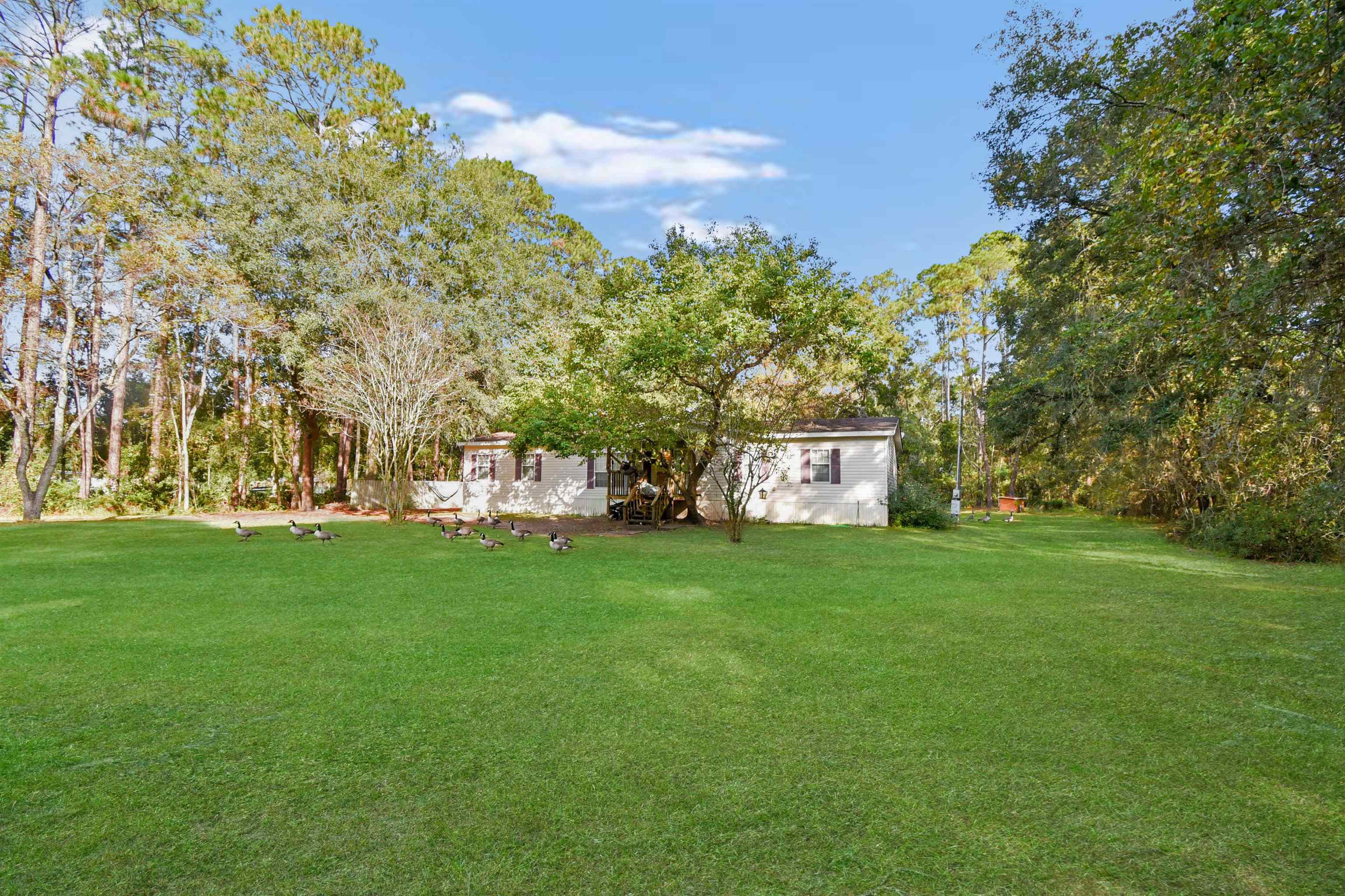 Image 7 of 13 For 11595 Normandy Blvd