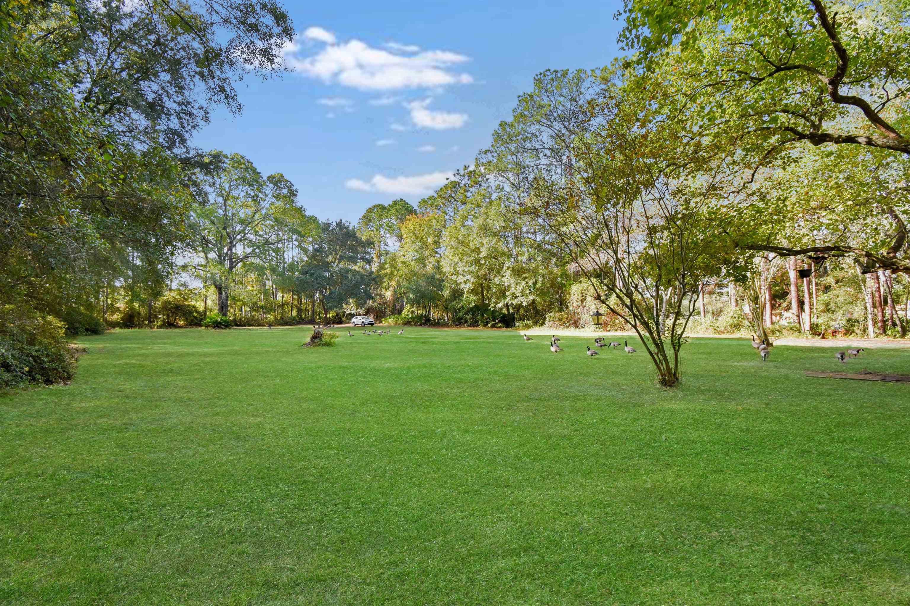 Image 8 of 13 For 11595 Normandy Blvd